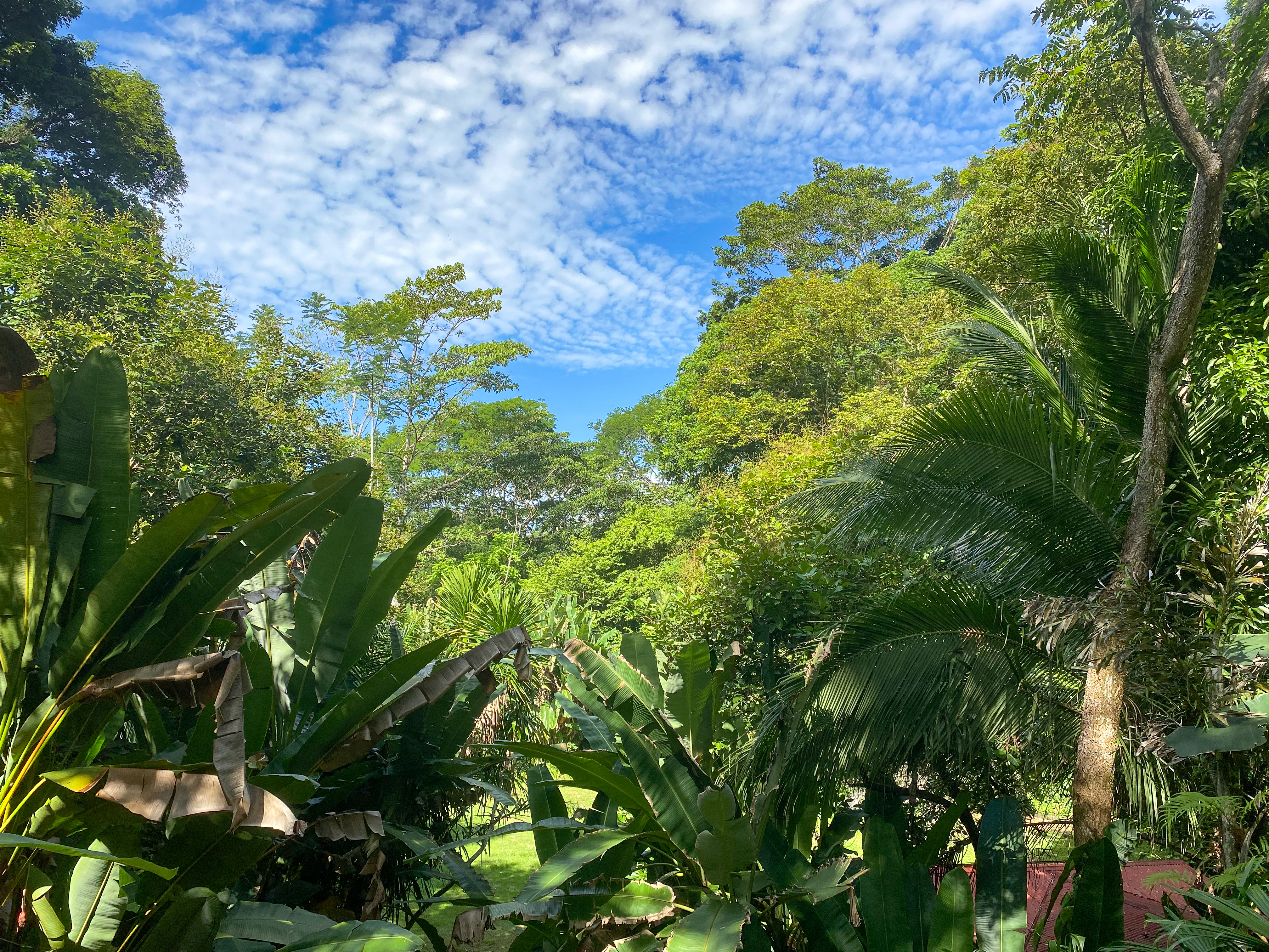 12 bed Hotel / Leisure For Sale in Uvita, Puntarenas - thumb 27