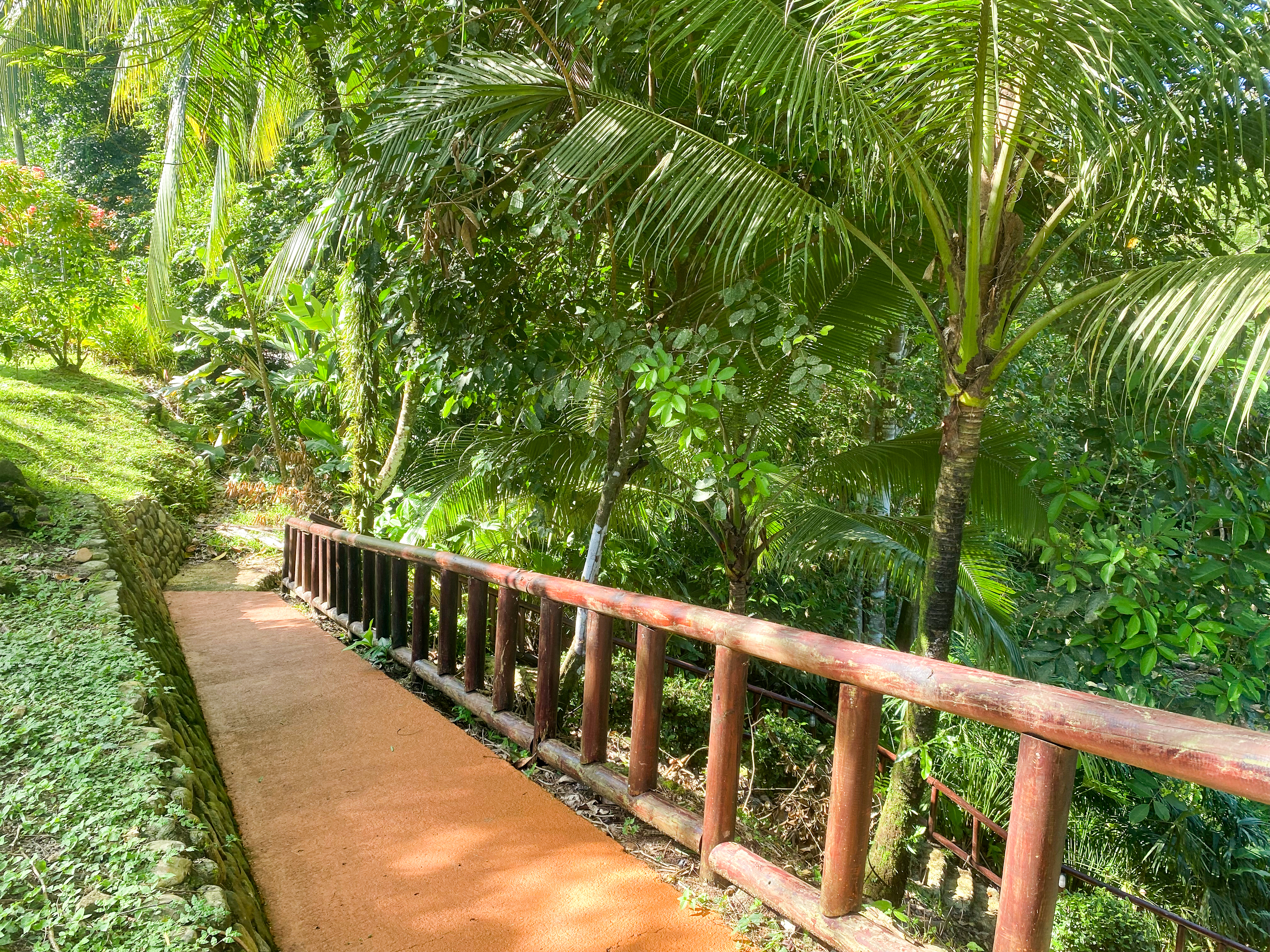 12 bed Hotel / Leisure For Sale in Uvita, Puntarenas - thumb 6