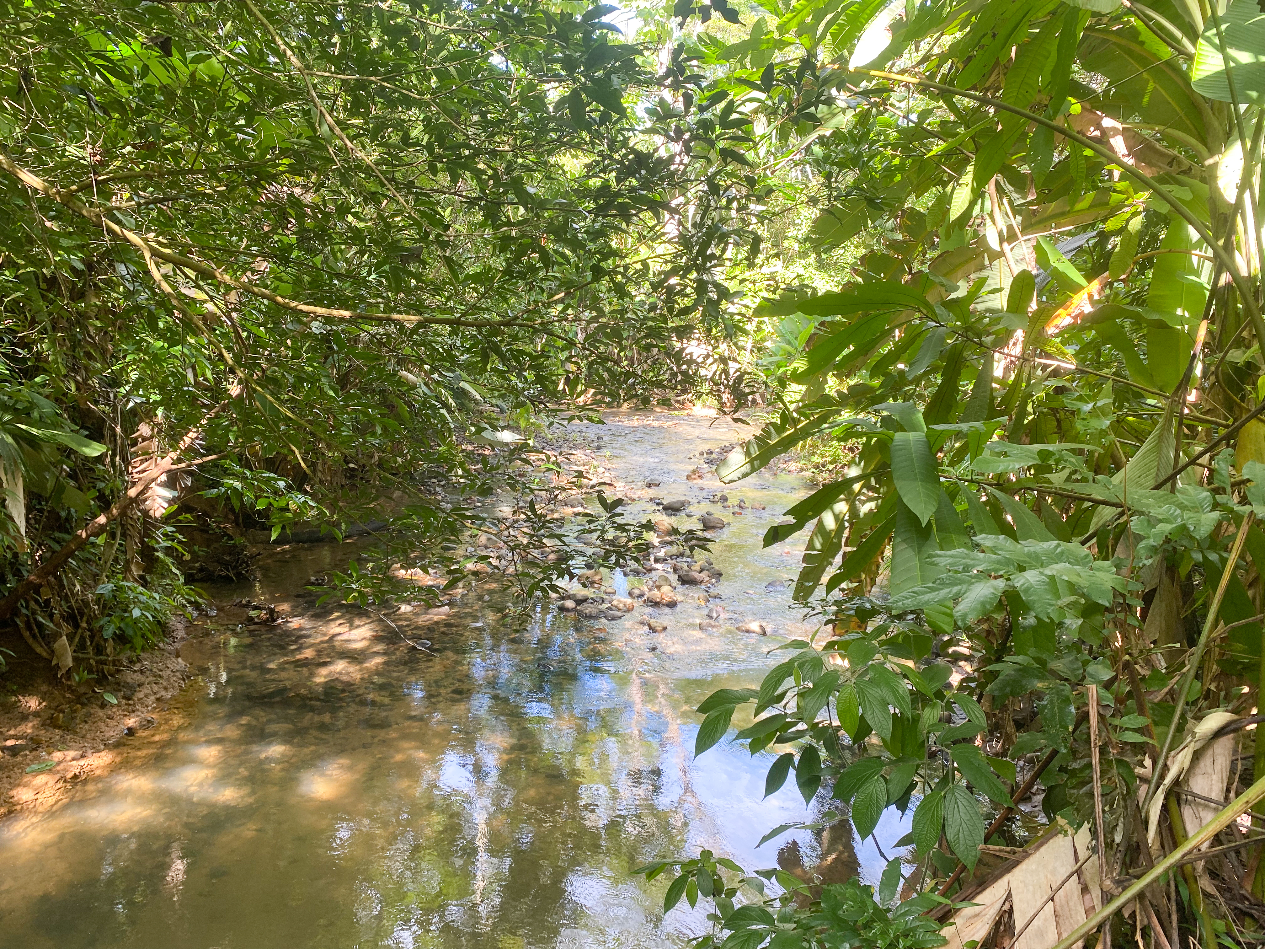 12 bed Hotel / Leisure For Sale in Uvita, Puntarenas - thumb 30