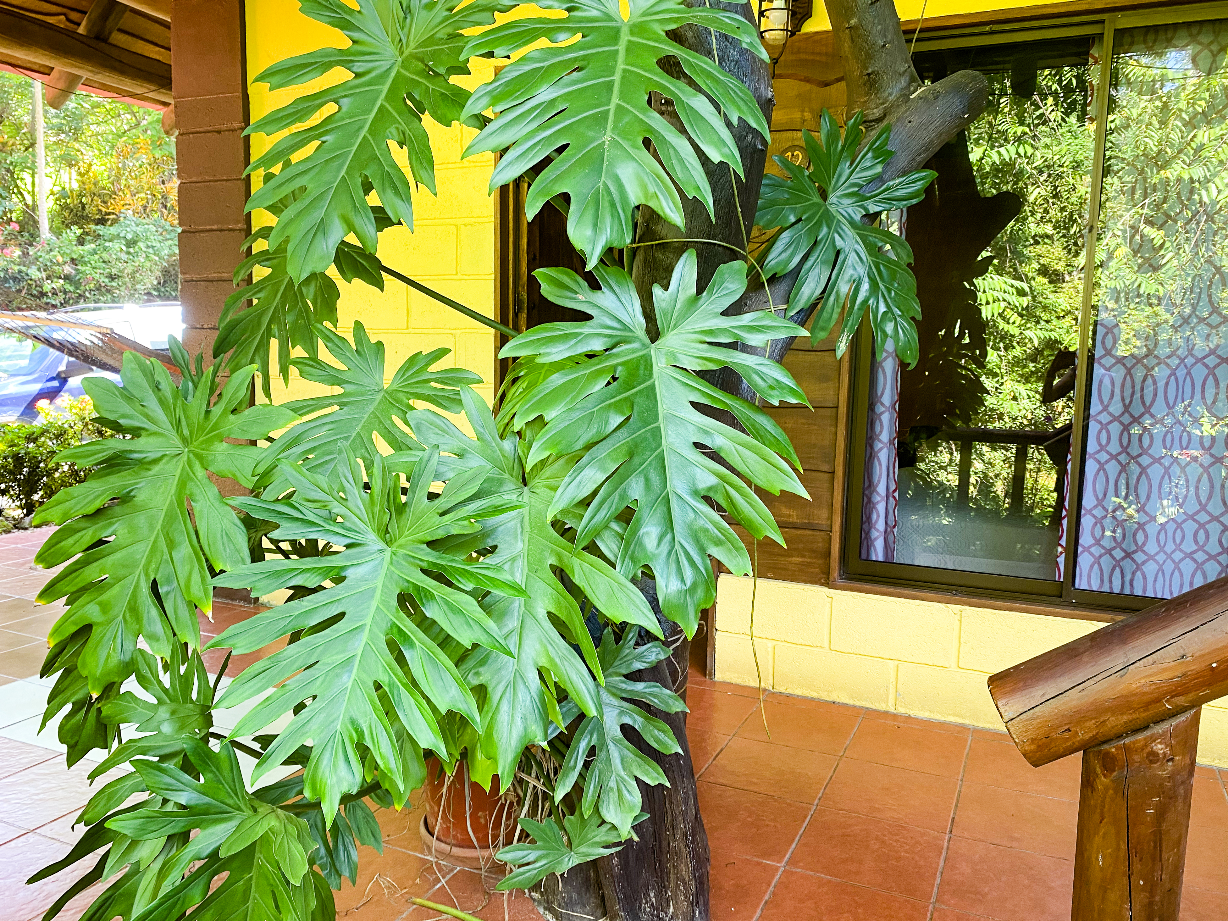 12 bed Hotel / Leisure For Sale in Uvita, Puntarenas - thumb 22