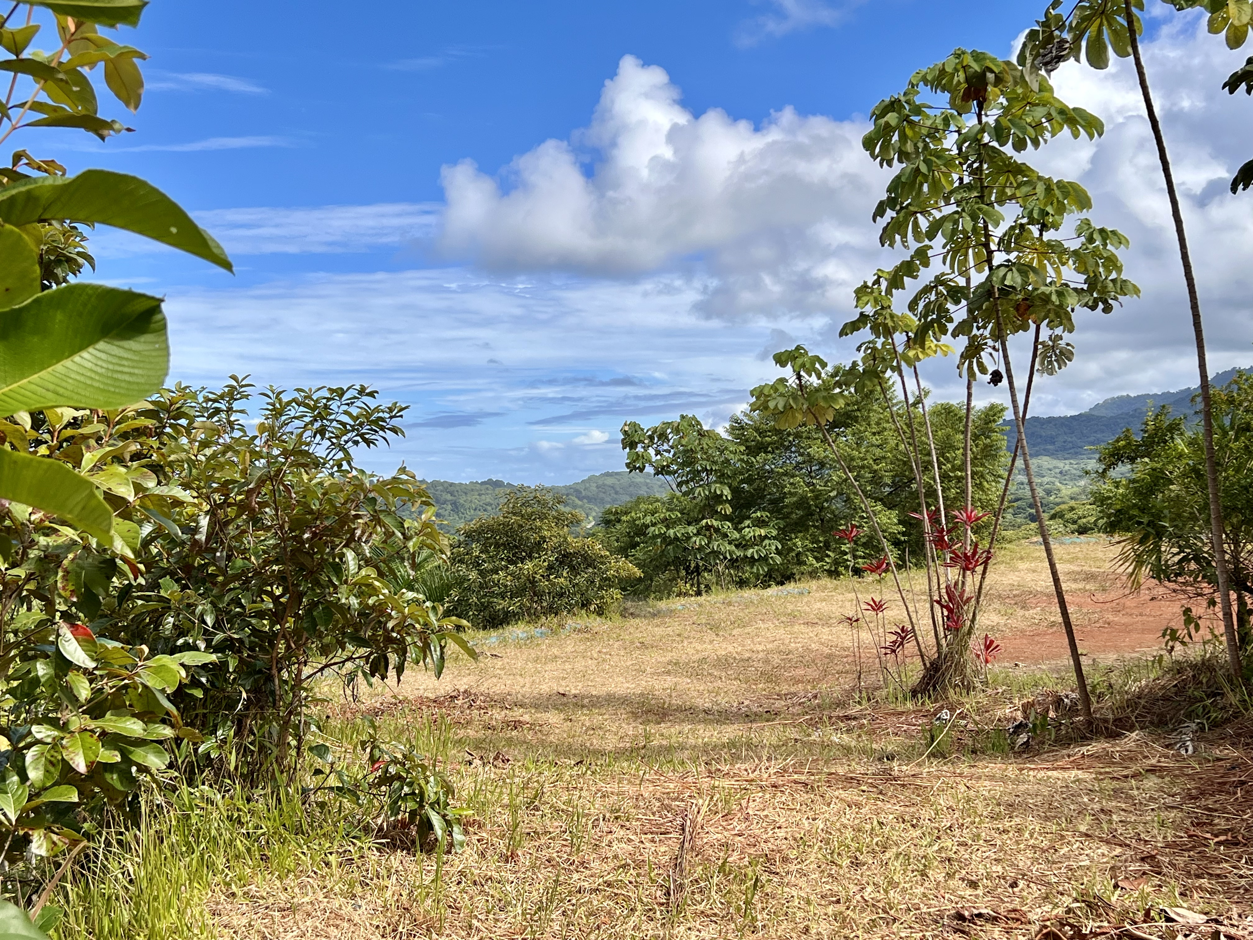0 bed Land For Sale in Ojochal, Puntarenas - thumb 3