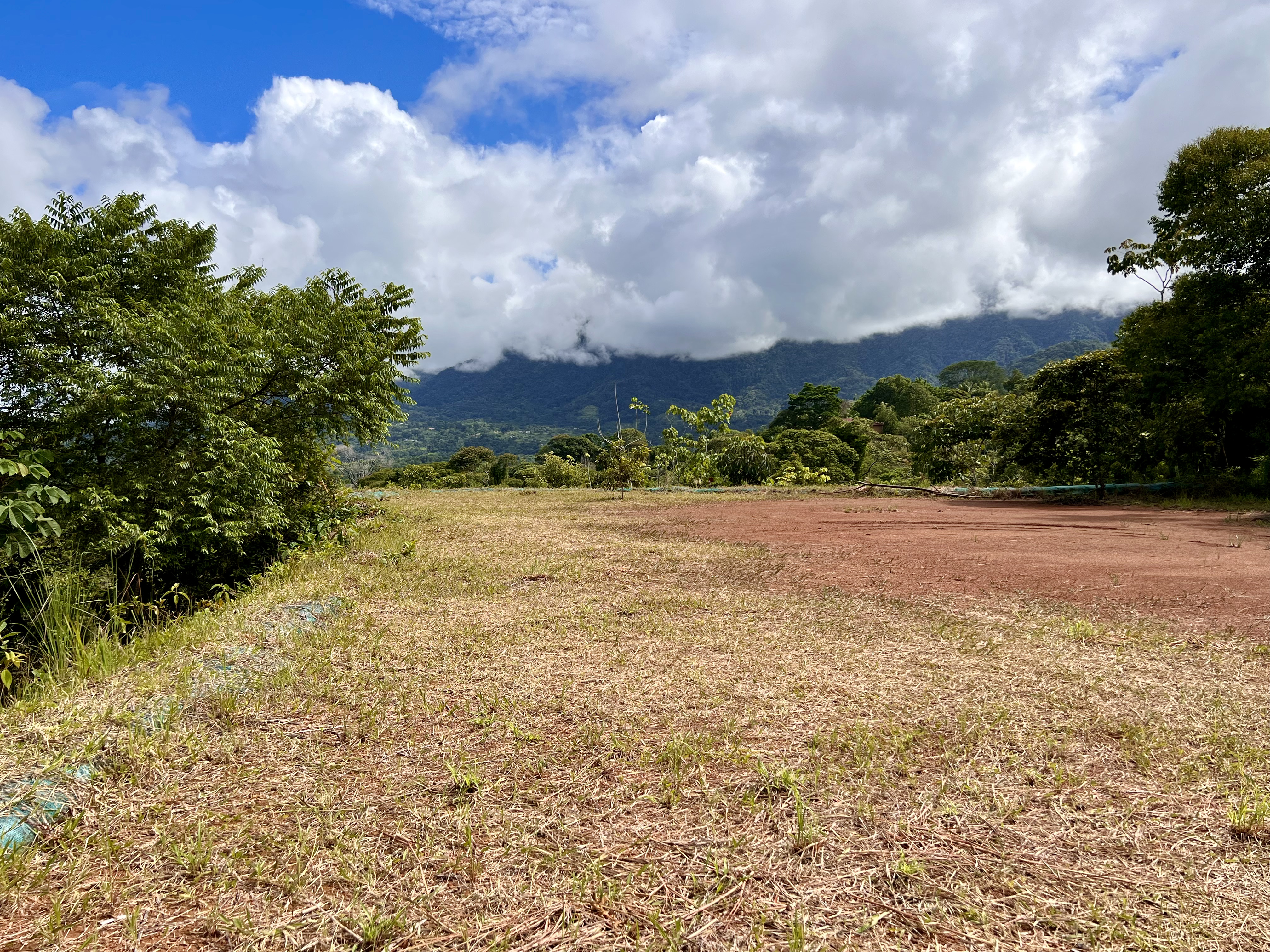 0 bed Land For Sale in Ojochal, Puntarenas - thumb 7