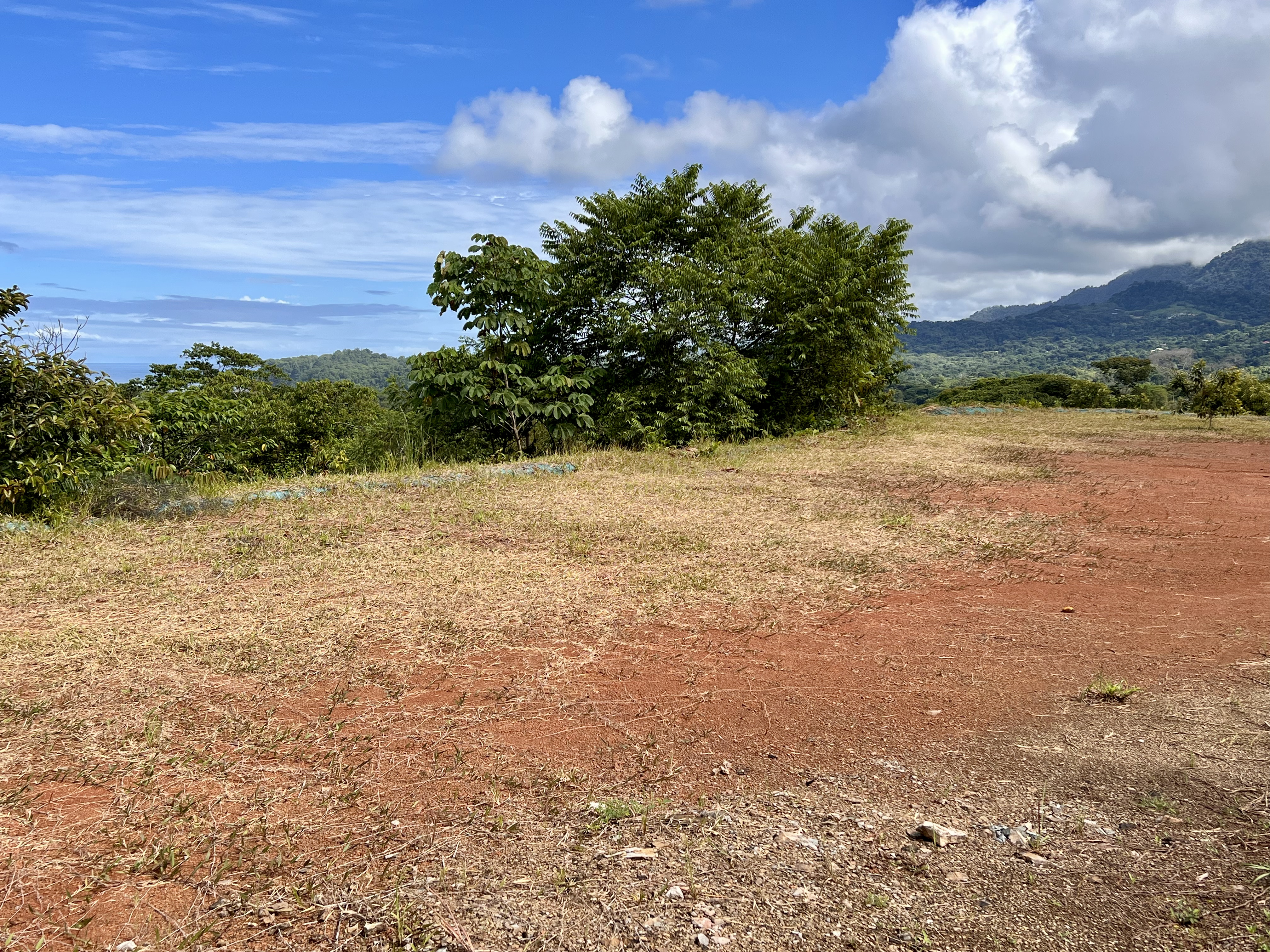 0 bed Land For Sale in Ojochal, Puntarenas - thumb 2