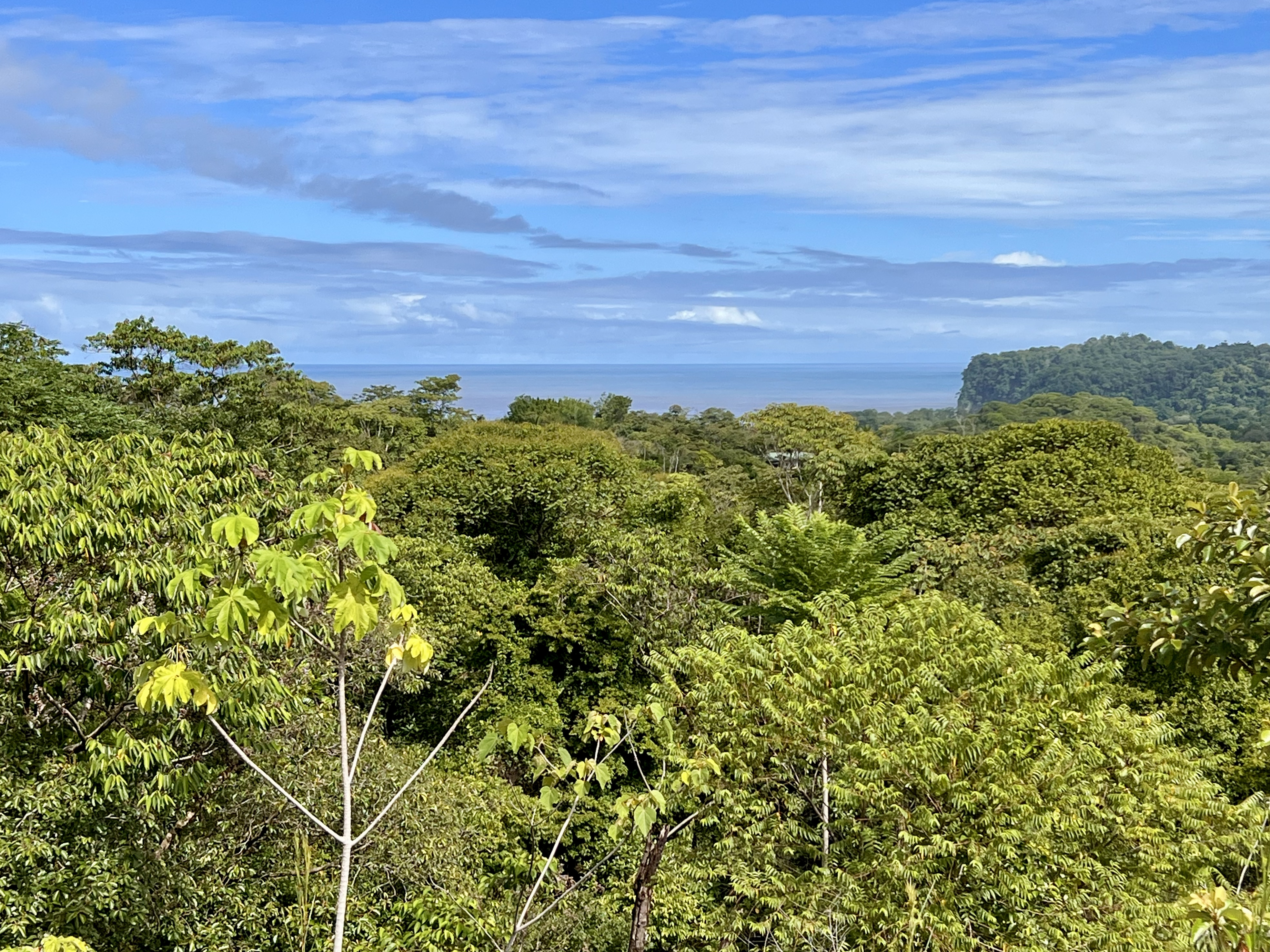 0 bed Land For Sale in Ojochal, Puntarenas - thumb 5
