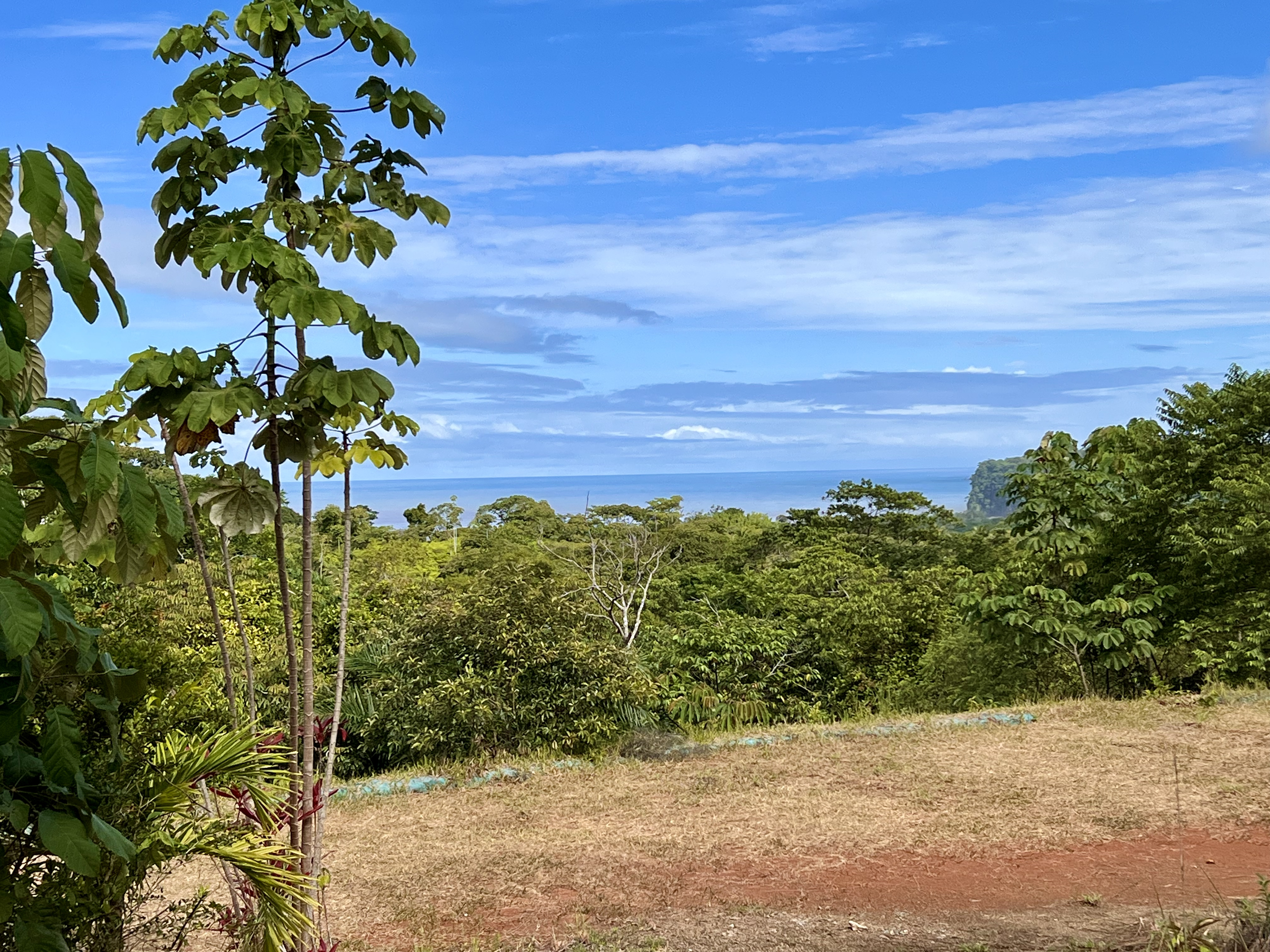 0 bed Land For Sale in Ojochal, Puntarenas - thumb 1