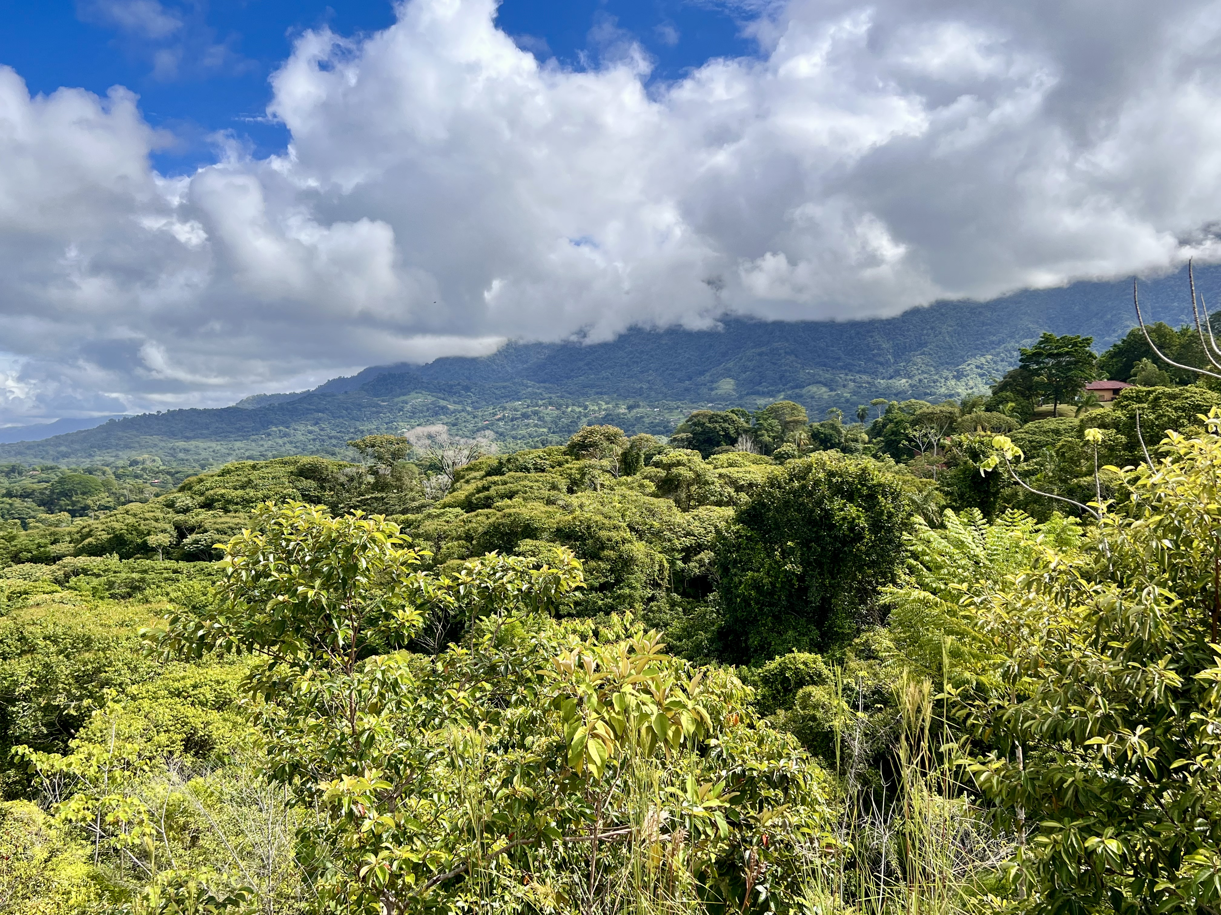 0 bed Land For Sale in Ojochal, Puntarenas - thumb 6