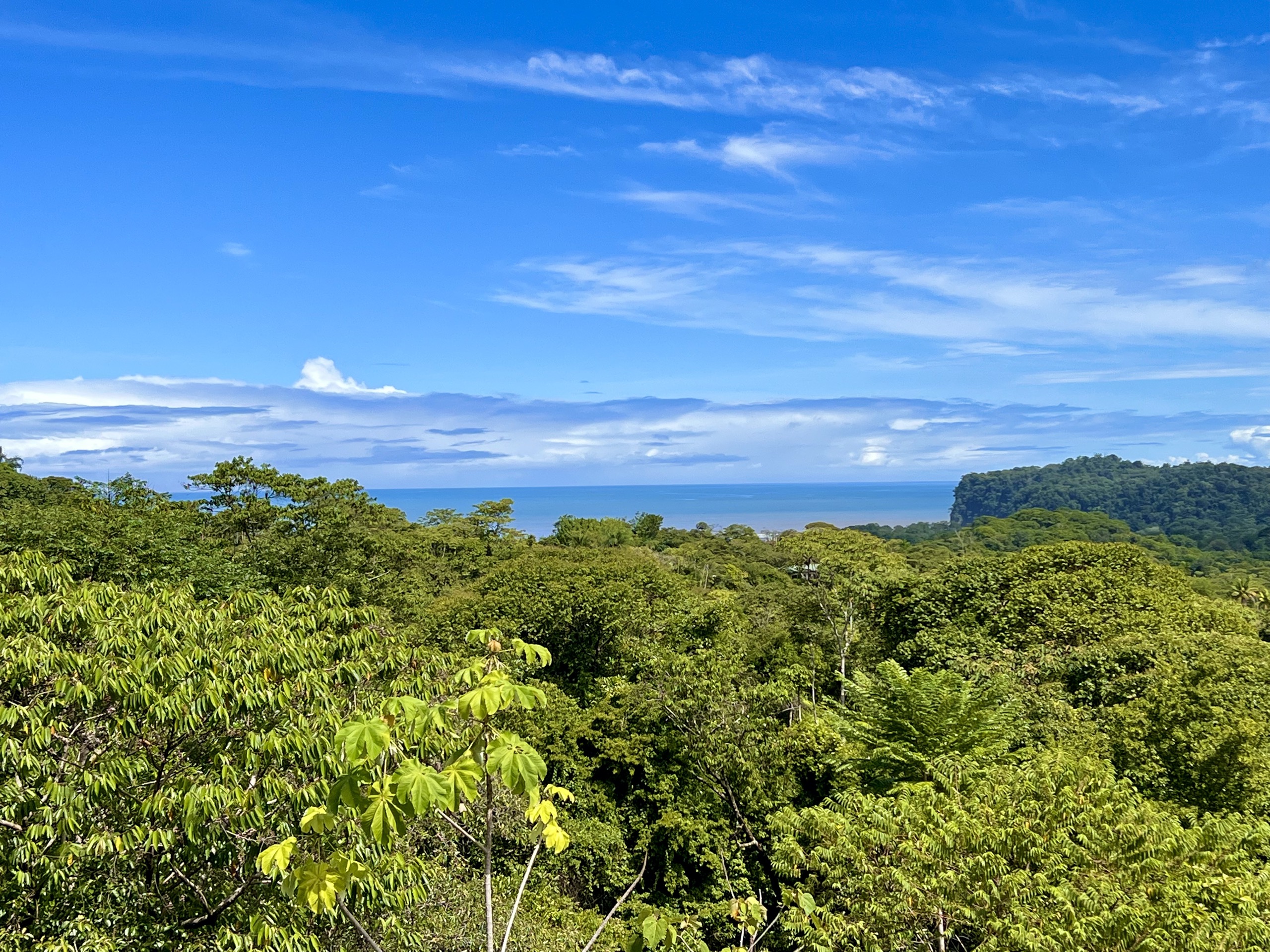 0 bed Land For Sale in Ojochal, Puntarenas - thumb 13