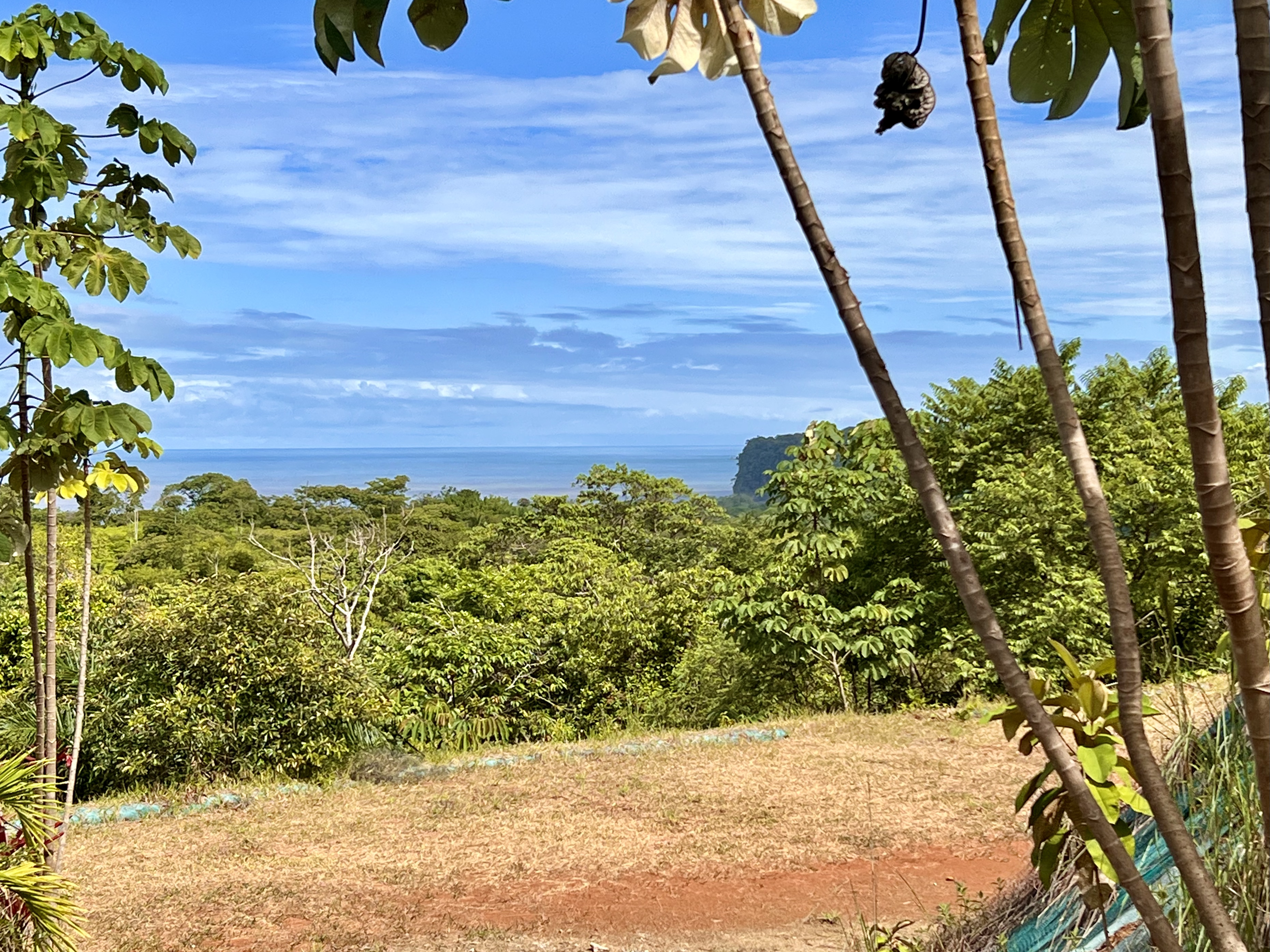 0 bed Land For Sale in Ojochal, Puntarenas - thumb 10
