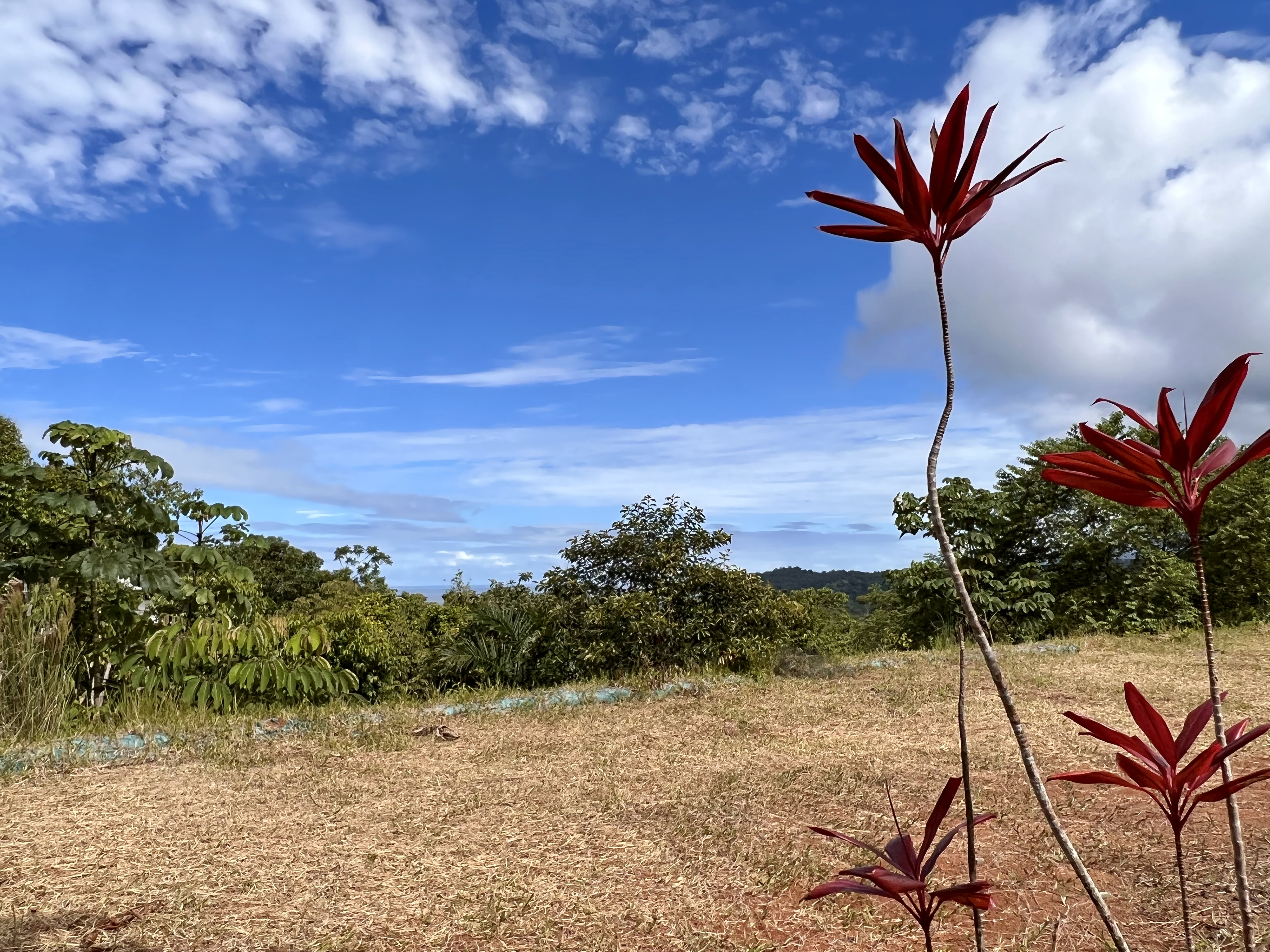 0 bed Land For Sale in Ojochal, Puntarenas - thumb 11