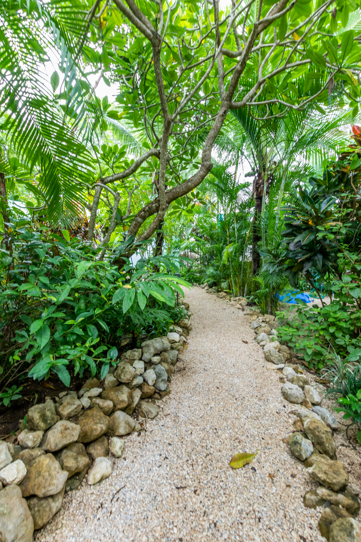 3 bed Single Family Homes For Sale in Nosara, Guanacaste - thumb 4