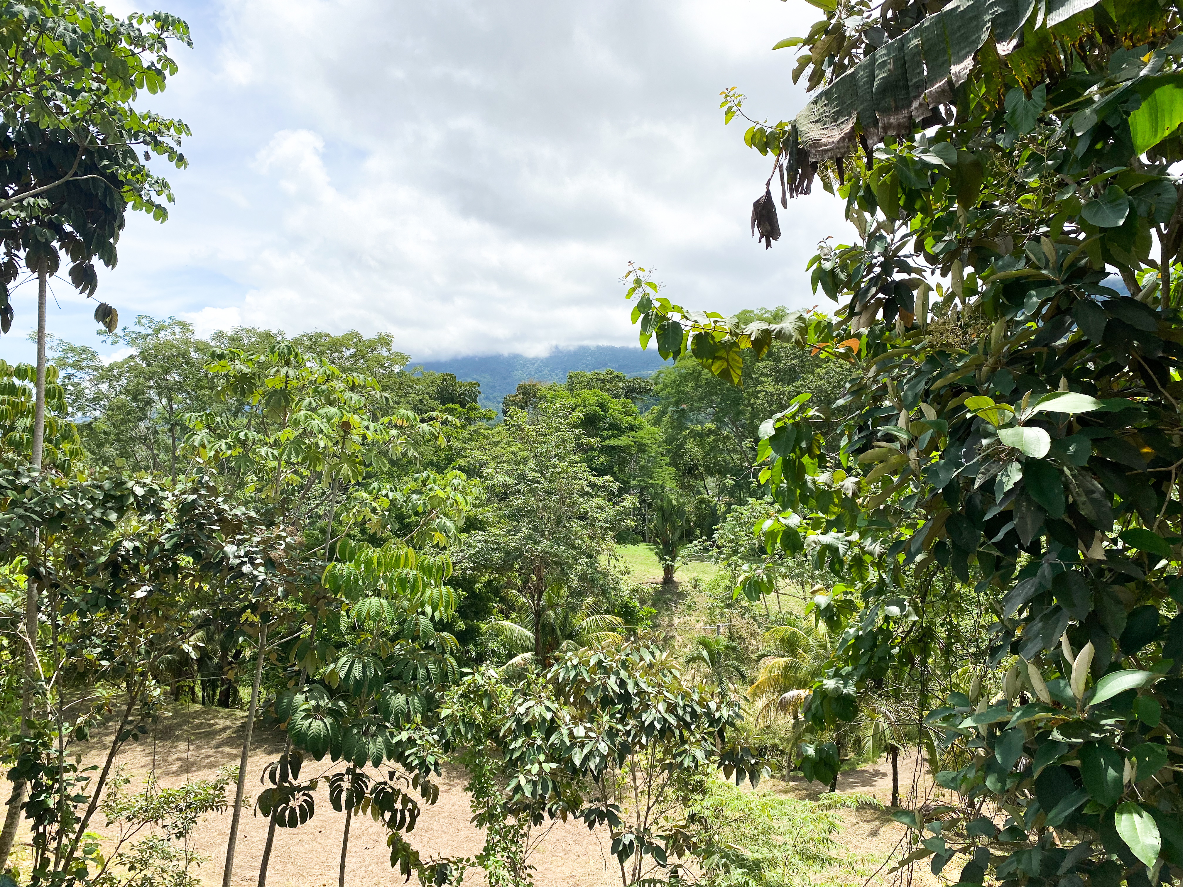 3 bed Single Family Homes For Sale in Uvita, Puntarenas - thumb 28