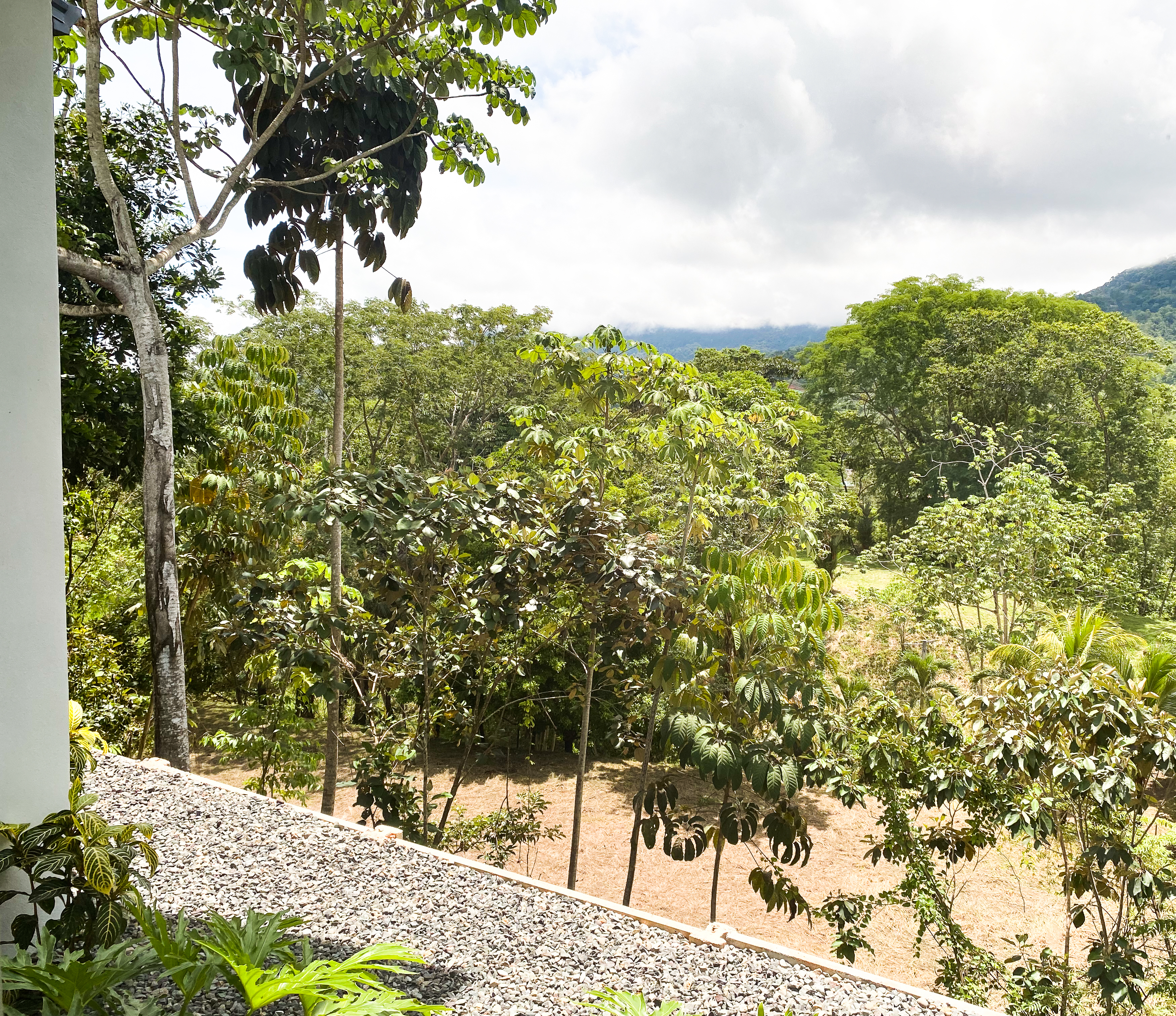 3 bed Single Family Homes For Sale in Uvita, Puntarenas - thumb 27