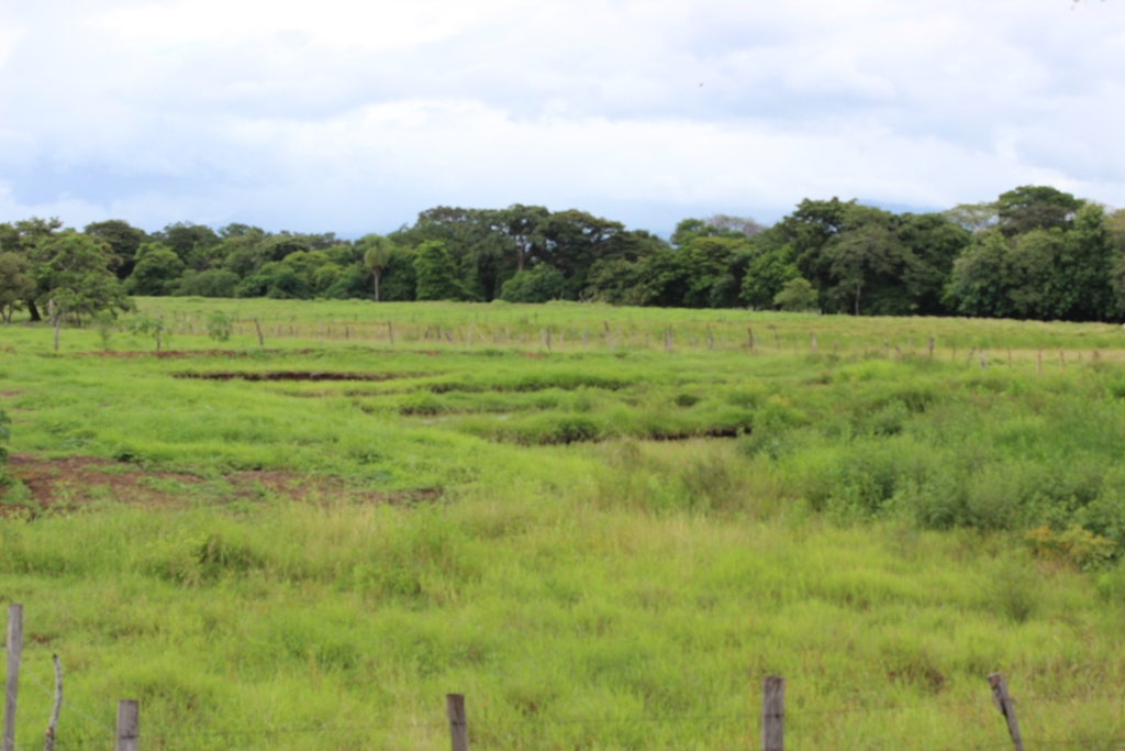 0 bed Land For Sale in Bagaces, Guanacaste - thumb 6