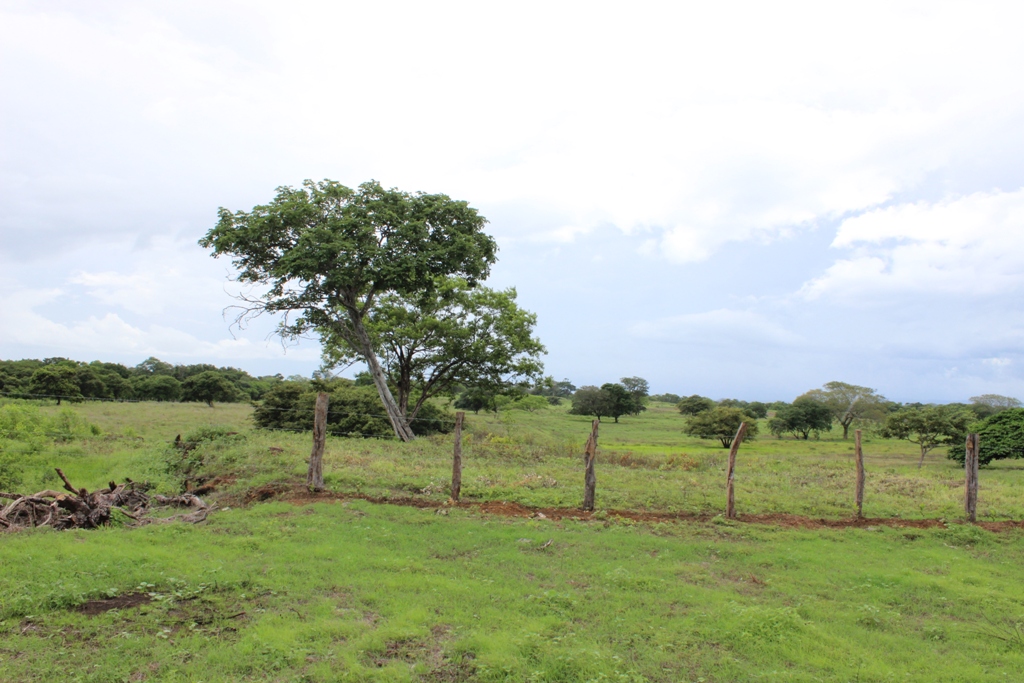 0 bed Land For Sale in Bagaces, Guanacaste - thumb 4
