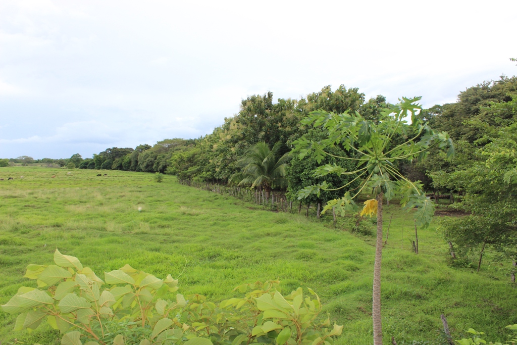 0 bed Land For Sale in Bagaces, Guanacaste - thumb 10