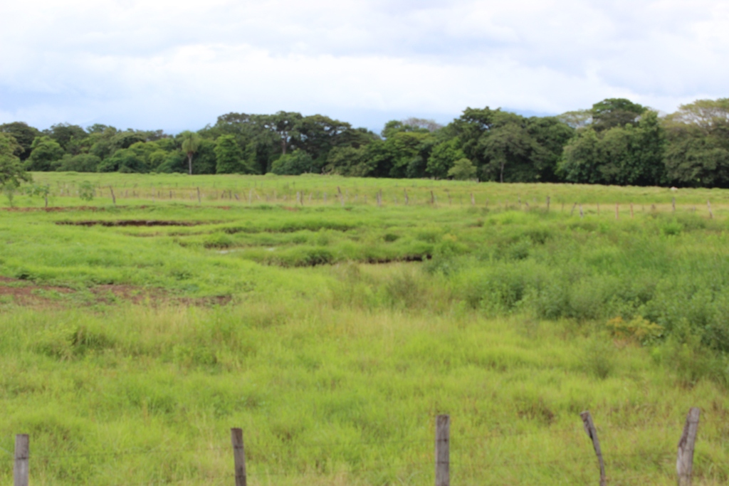 0 bed Land For Sale in Bagaces, Guanacaste - thumb 7