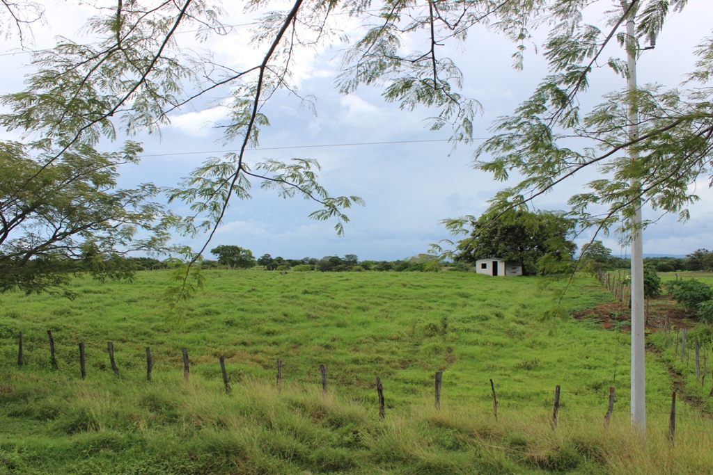 0 bed Land For Sale in Bagaces, Guanacaste - thumb 8