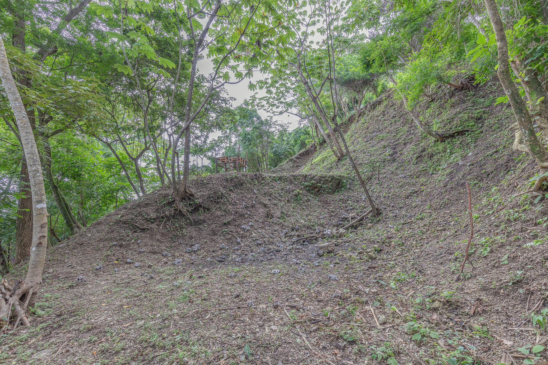 0 bed Land For Sale in Nosara, Guanacaste - thumb 23