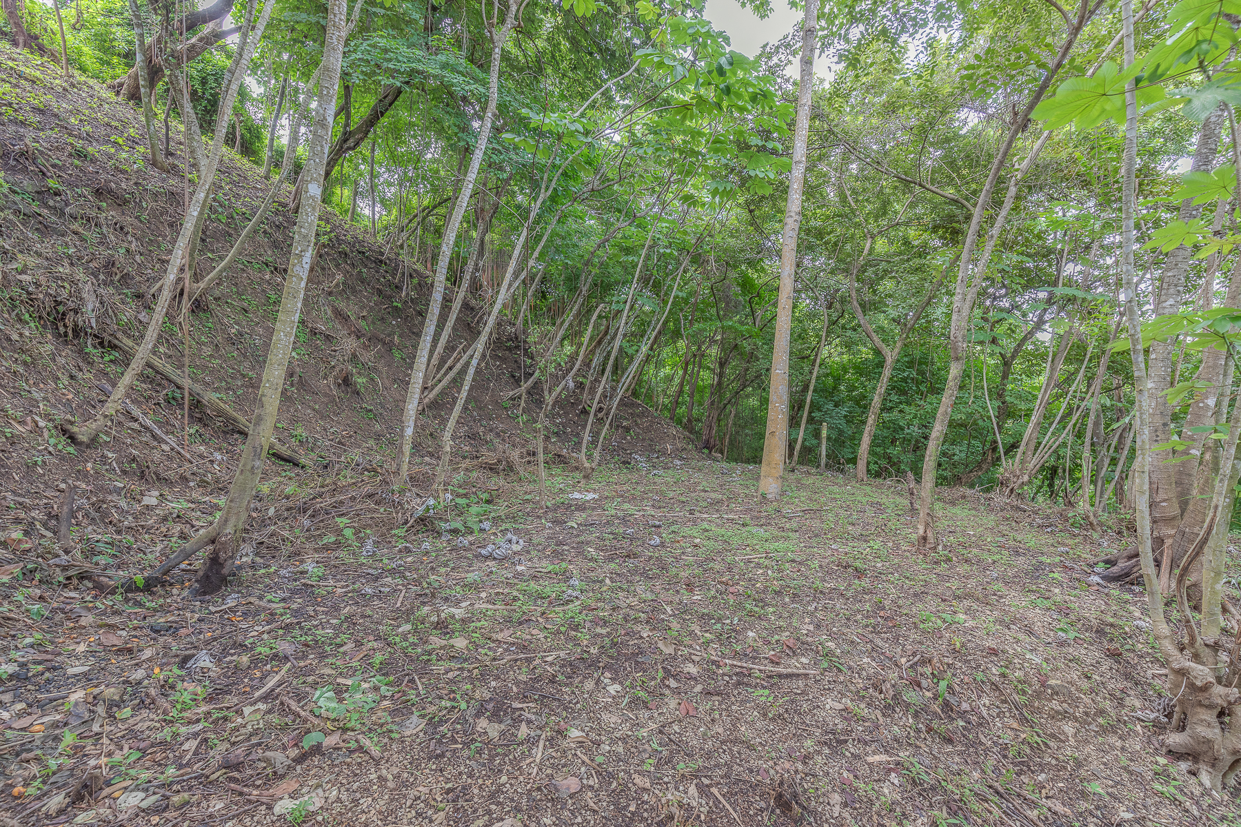 0 bed Land For Sale in Nosara, Guanacaste - thumb 21