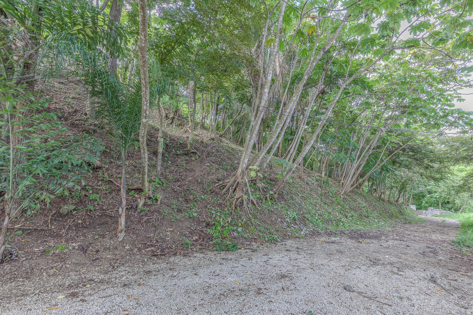 0 bed Land For Sale in Nosara, Guanacaste - thumb 17