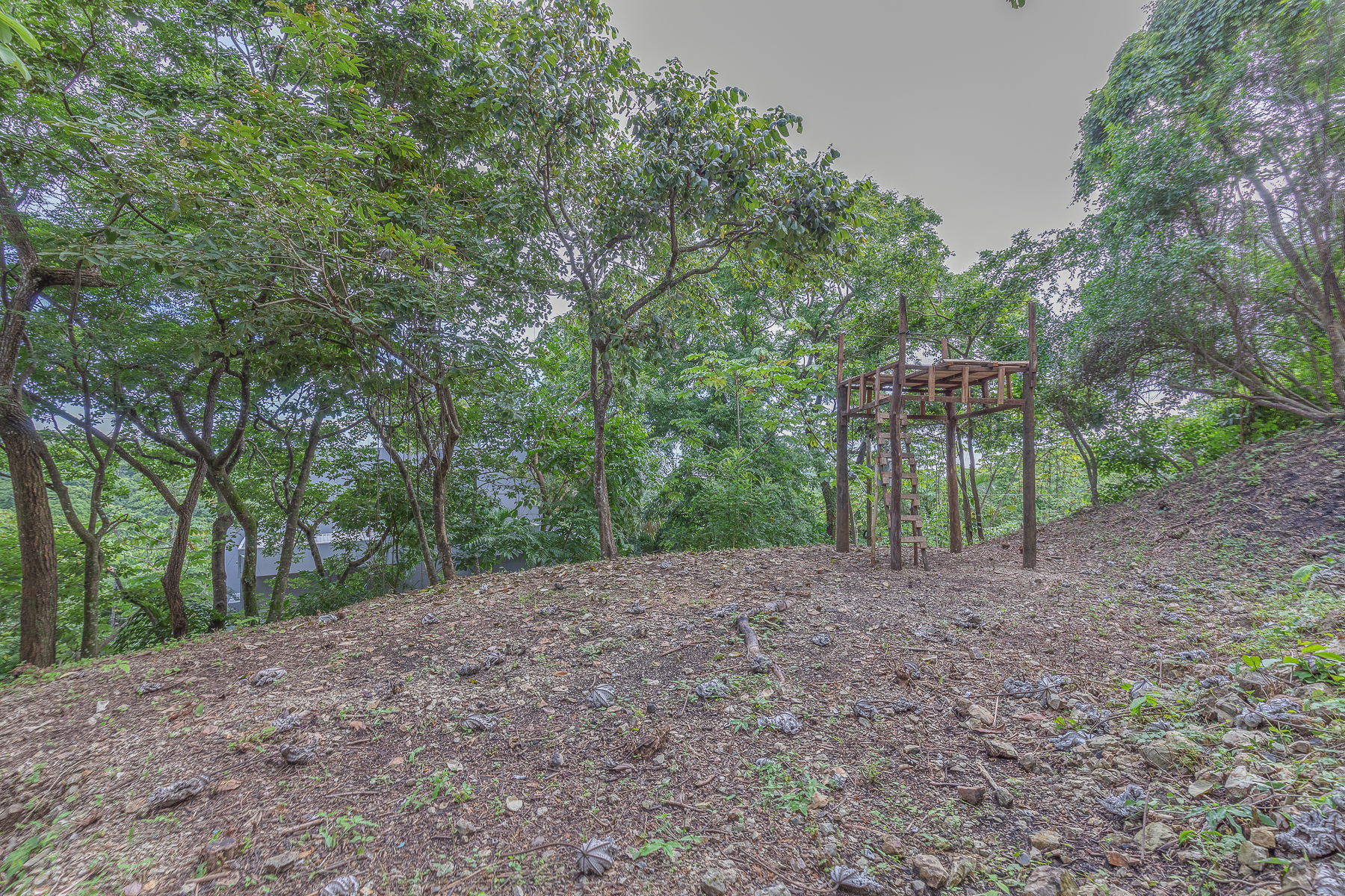 0 bed Land For Sale in Nosara, Guanacaste - thumb 16
