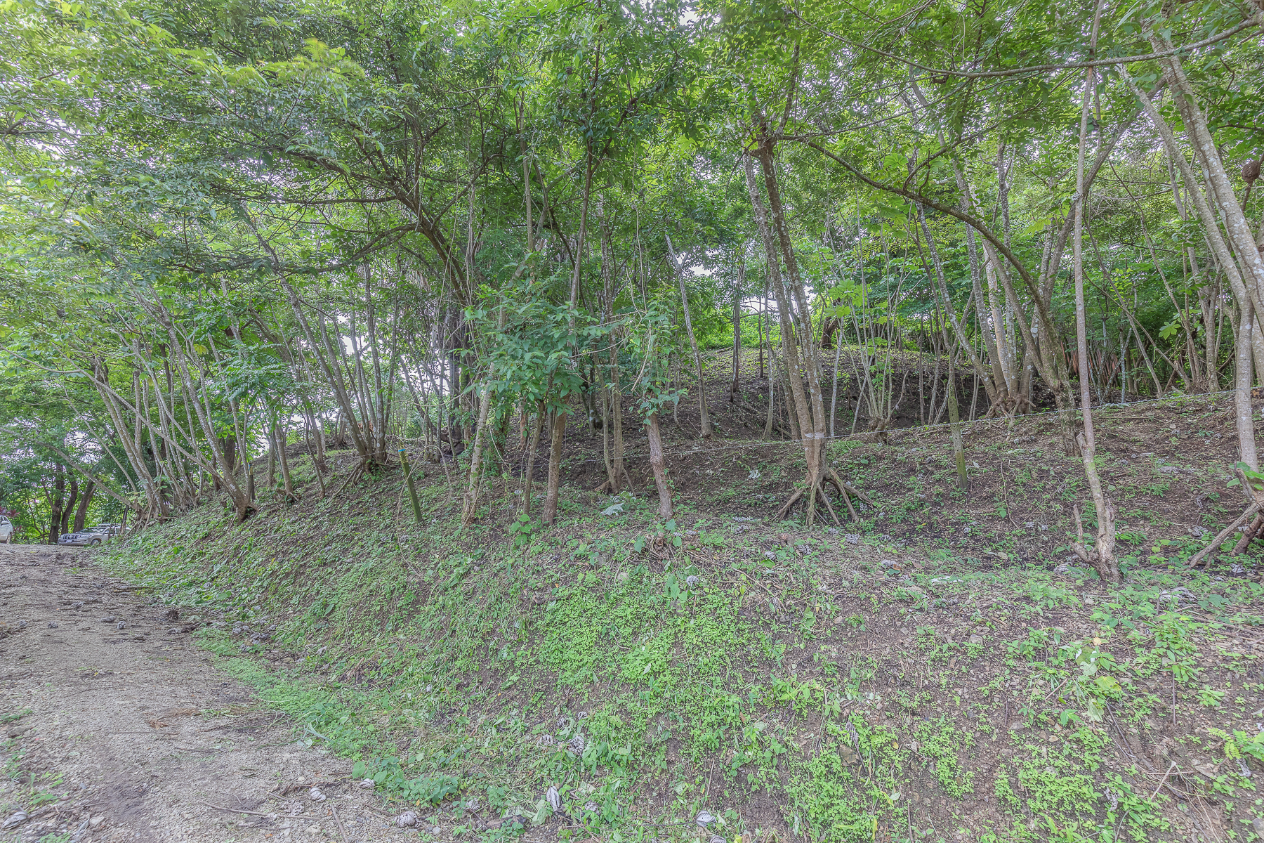 0 bed Land For Sale in Nosara, Guanacaste - thumb 18