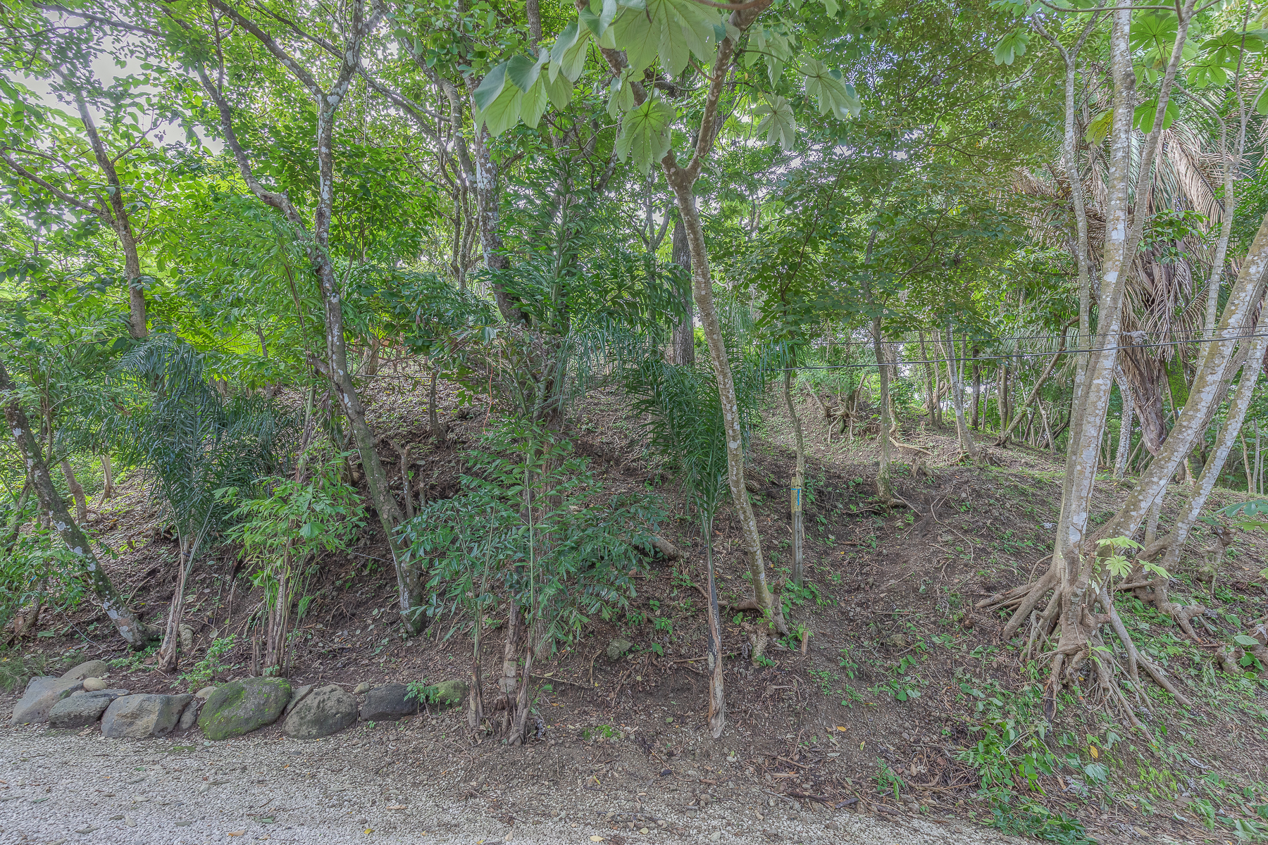 0 bed Land For Sale in Nosara, Guanacaste - thumb 15