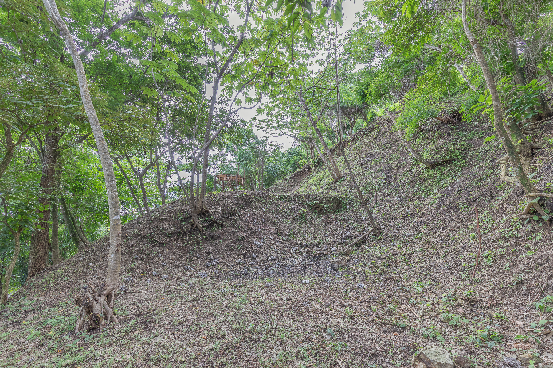 0 bed Land For Sale in Nosara, Guanacaste - thumb 22
