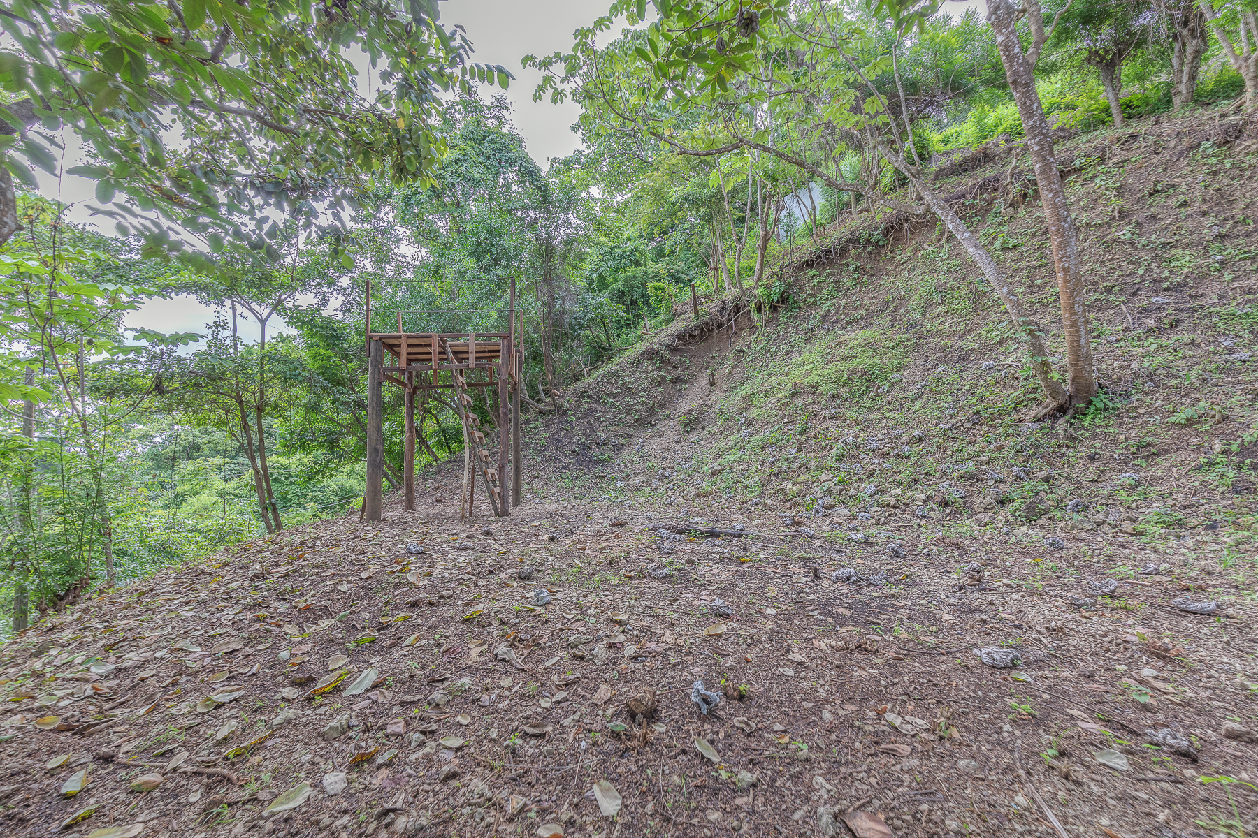 0 bed Land For Sale in Nosara, Guanacaste - thumb 24