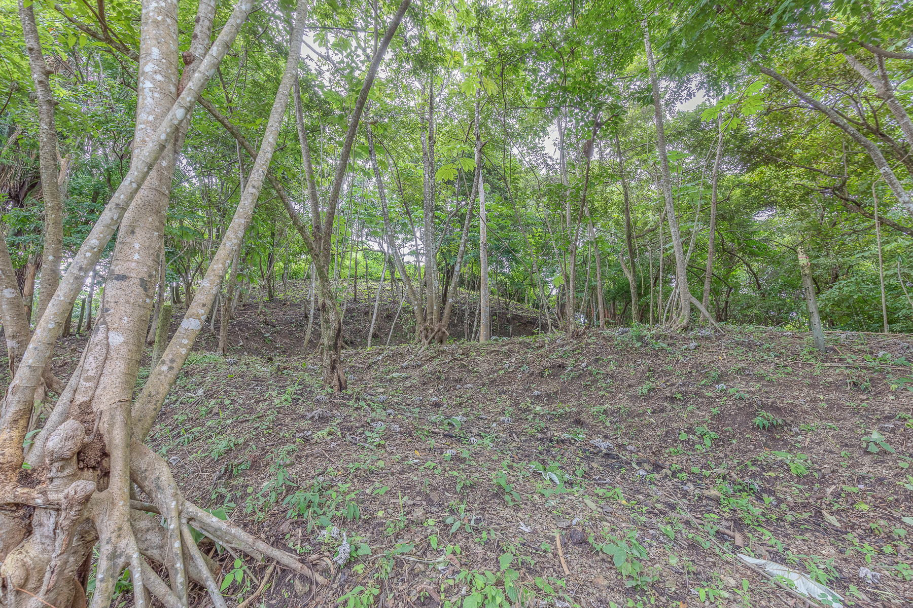 0 bed Land For Sale in Nosara, Guanacaste - thumb 19