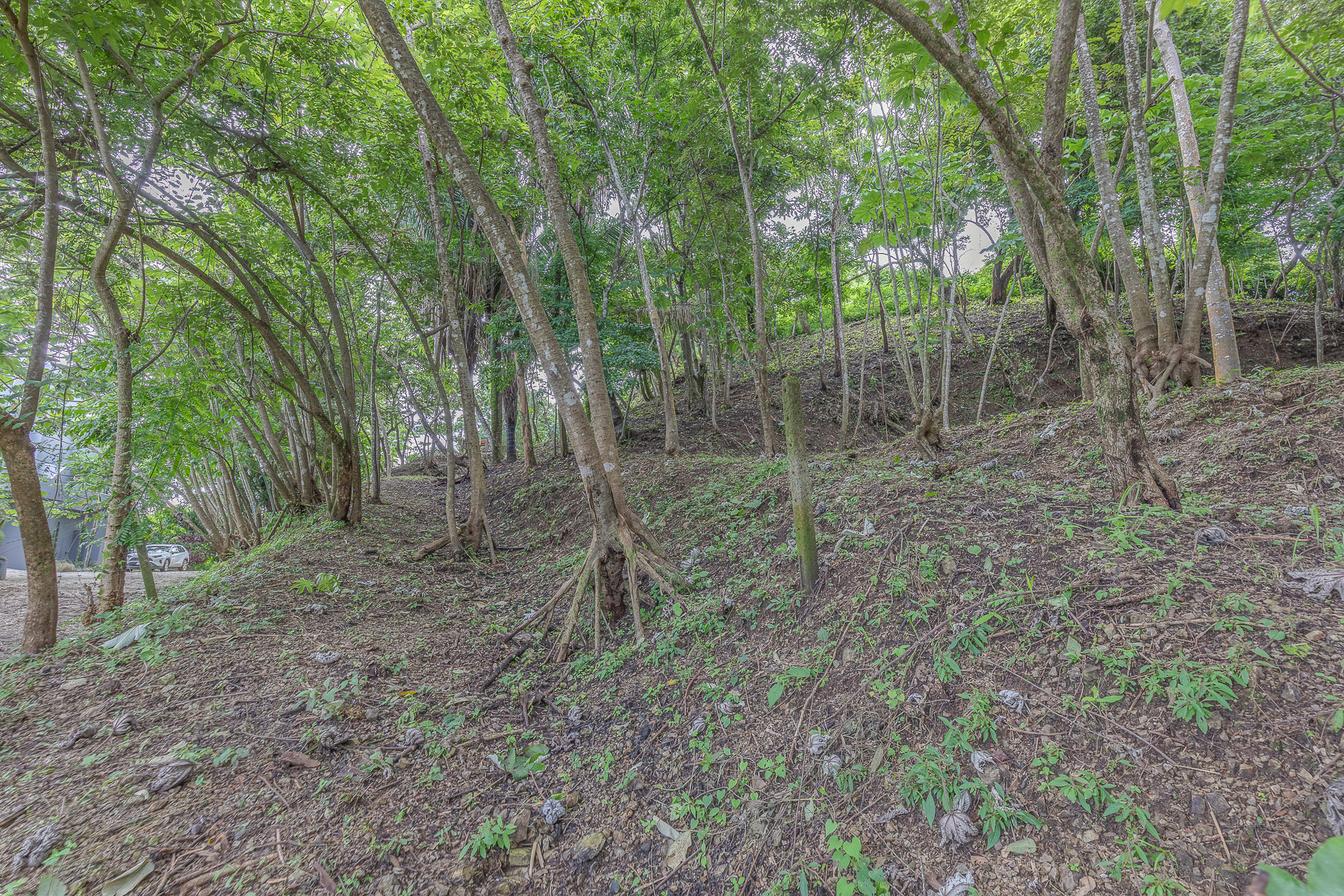 0 bed Land For Sale in Nosara, Guanacaste - thumb 20