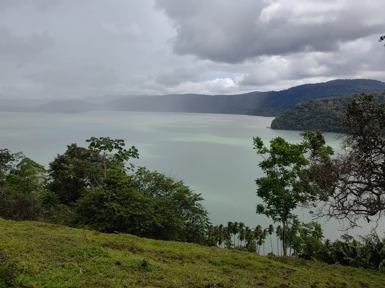 0 bed Land For Sale in Puerto Jimenez, Puntarenas - thumb 12