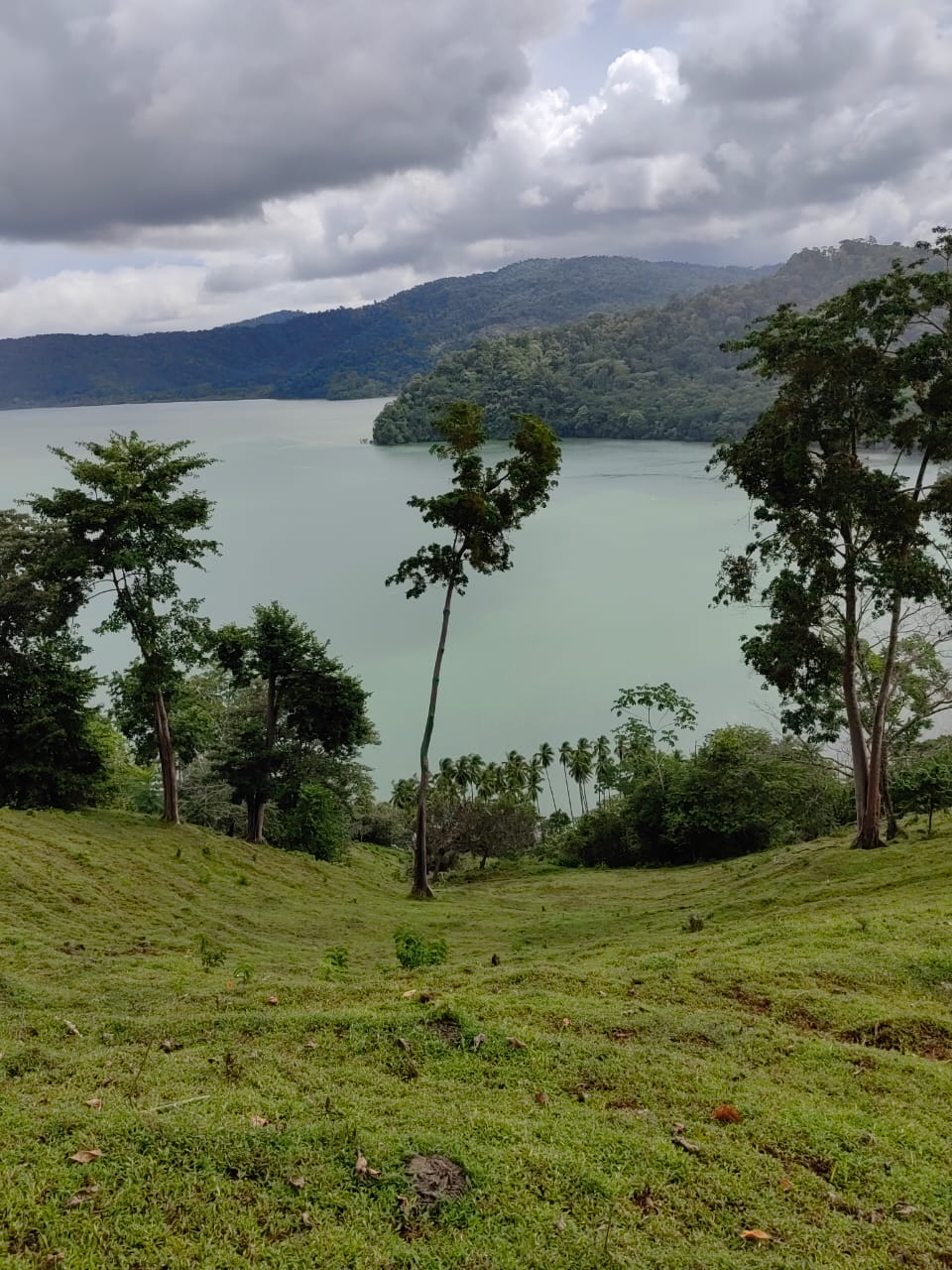 0 bed Land For Sale in Puerto Jimenez, Puntarenas - thumb 8