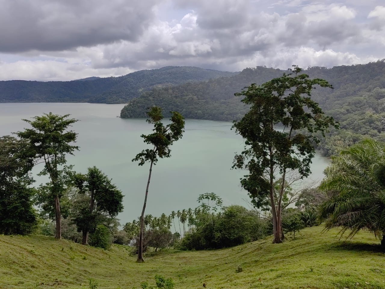 0 bed Land For Sale in Puerto Jimenez, Puntarenas - thumb 9