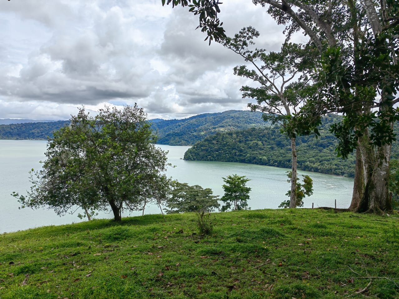 0 bed Land For Sale in Puerto Jimenez, Puntarenas - thumb 4