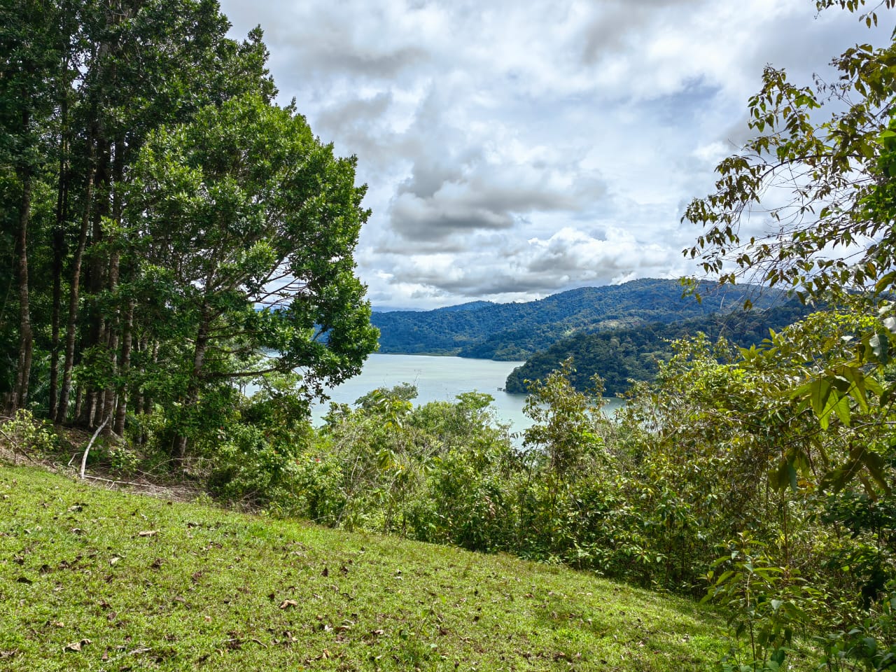 0 bed Land For Sale in Puerto Jimenez, Puntarenas - thumb 2