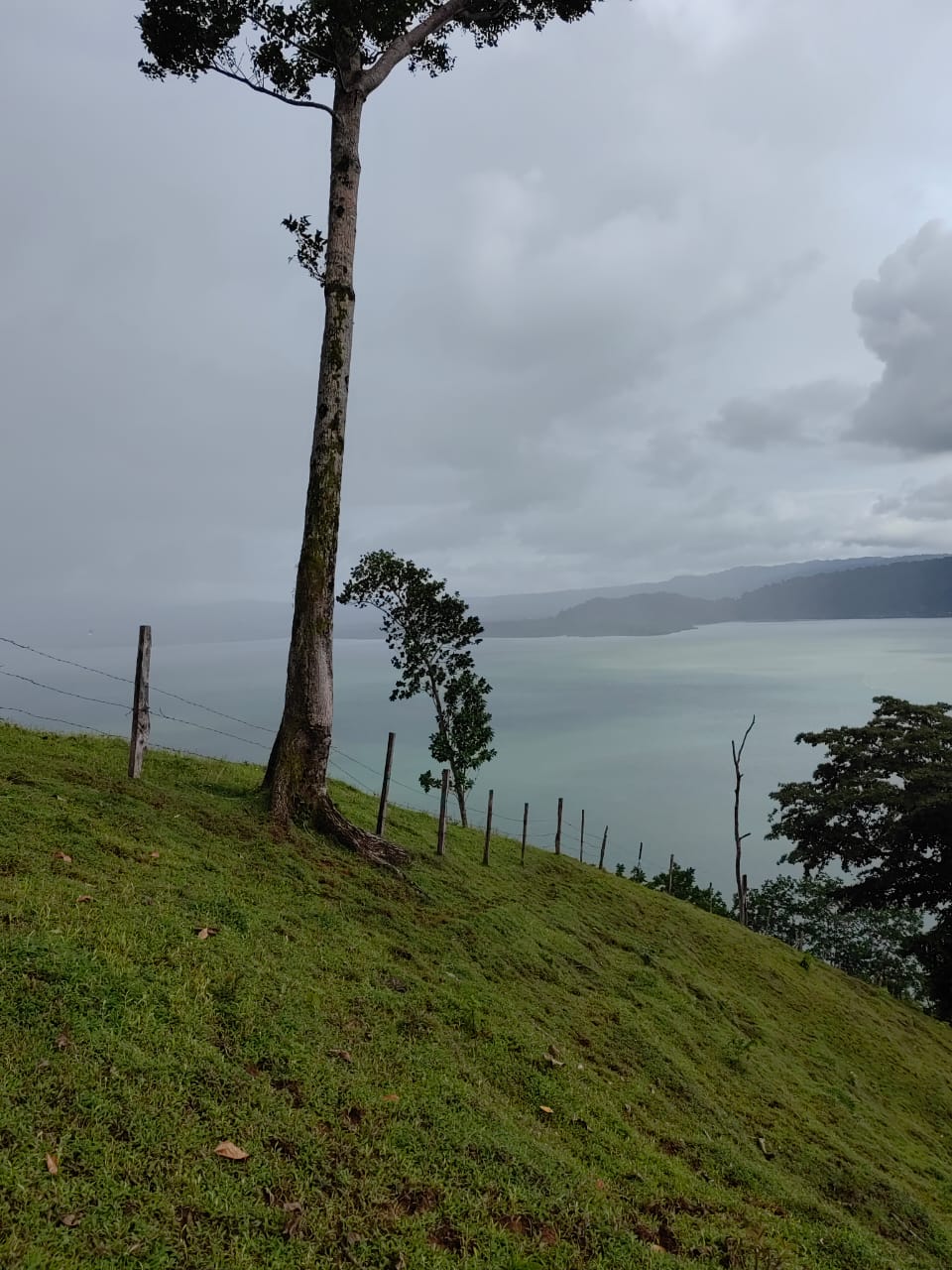 0 bed Land For Sale in Puerto Jimenez, Puntarenas - thumb 11