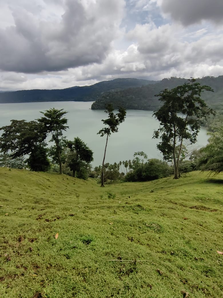 0 bed Land For Sale in Puerto Jimenez, Puntarenas - thumb 7