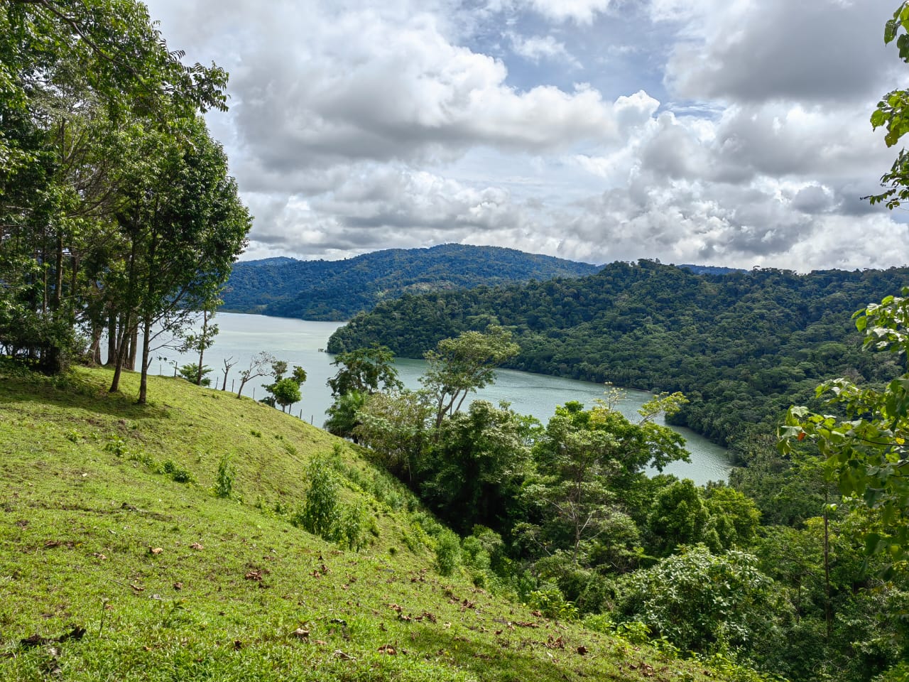 0 bed Land For Sale in Puerto Jimenez, Puntarenas - thumb 3