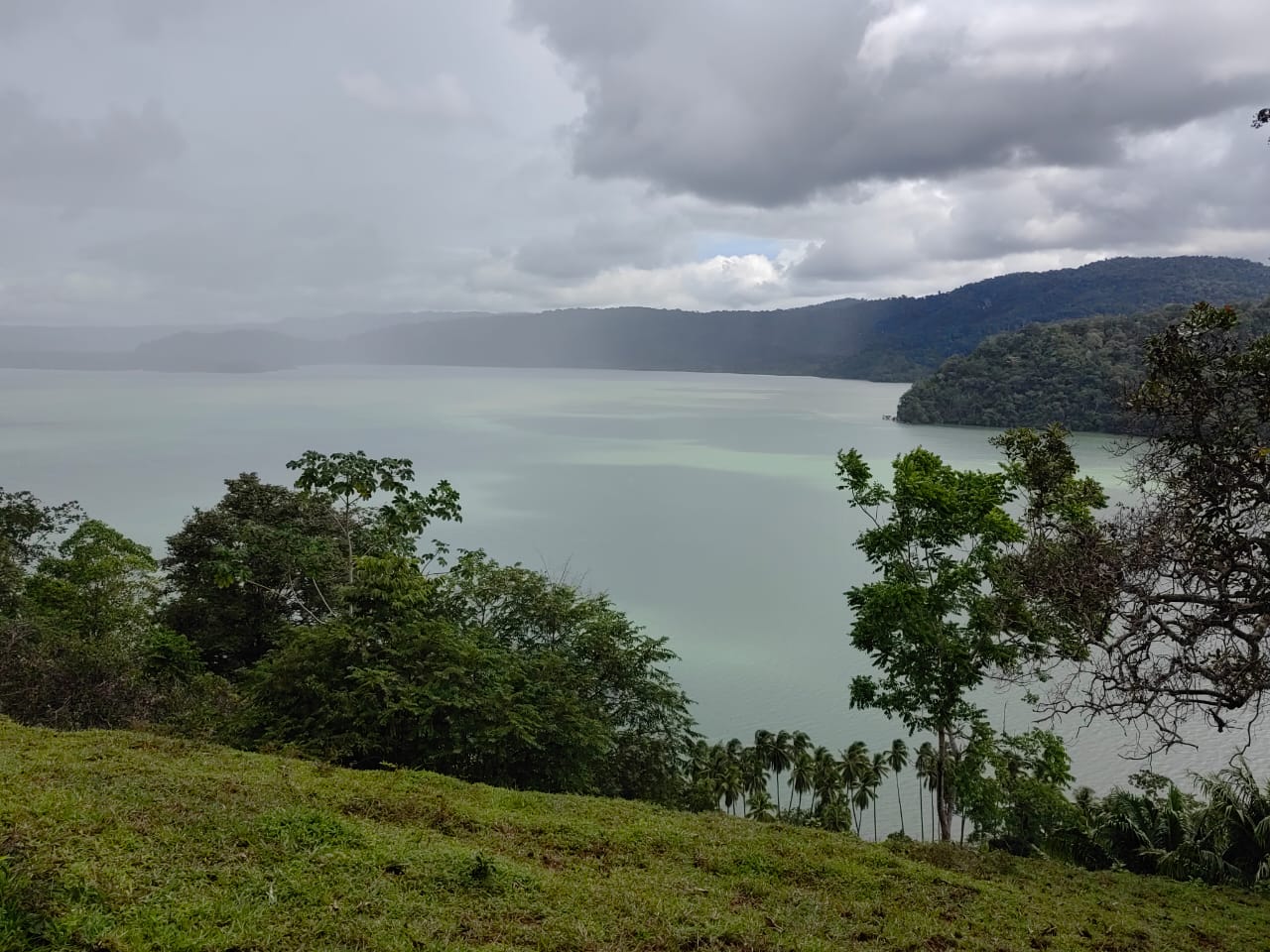 0 bed Land For Sale in Puerto Jimenez, Puntarenas - thumb 14