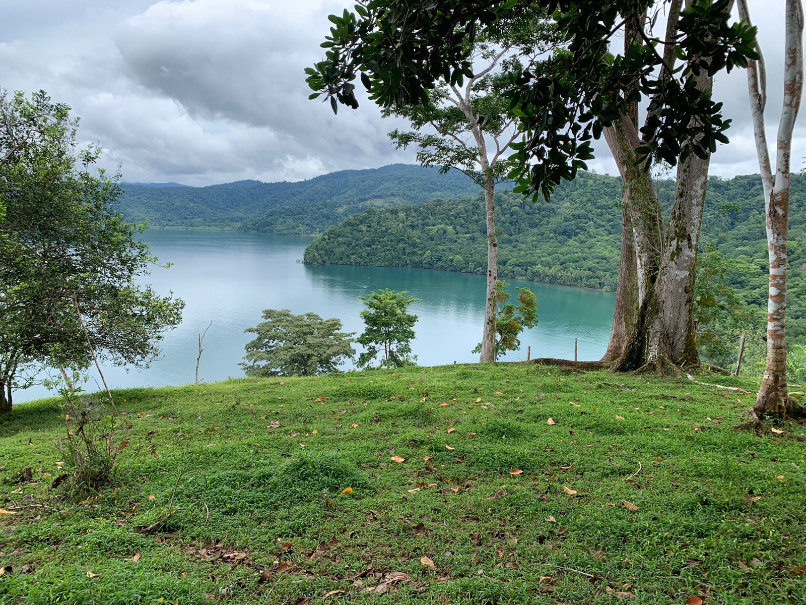 0 bed Land For Sale in Puerto Jimenez, Puntarenas - thumb 1