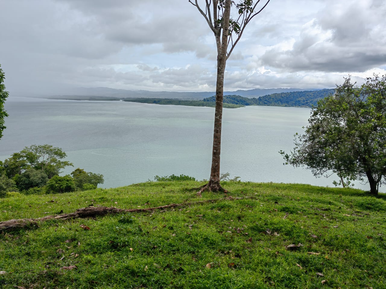 0 bed Land For Sale in Puerto Jimenez, Puntarenas - thumb 6