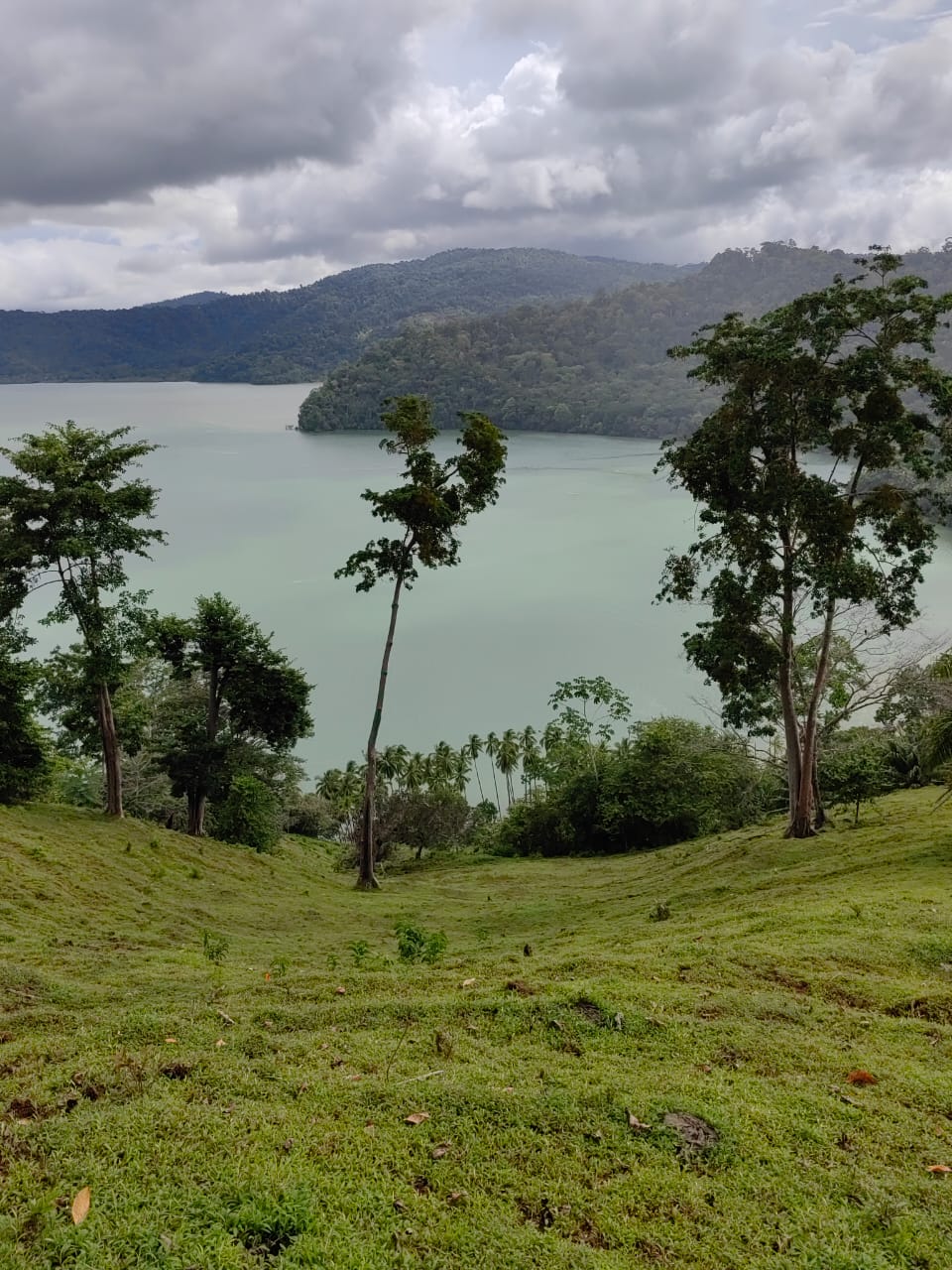 0 bed Land For Sale in Puerto Jimenez, Puntarenas - thumb 10