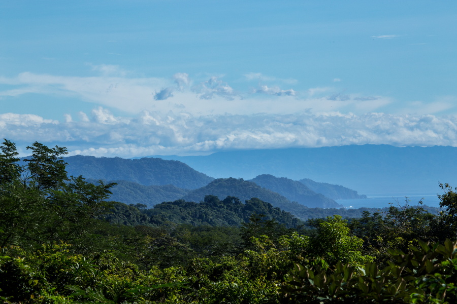 12 bed Single Family Homes For Sale in Montezuma, Puntarenas - thumb 1