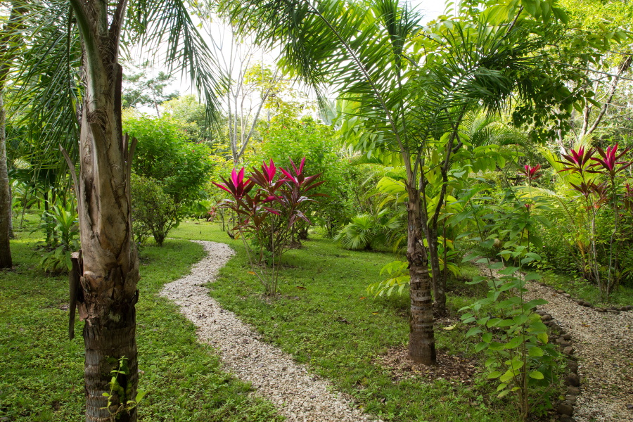 12 bed Single Family Homes For Sale in Montezuma, Puntarenas - thumb 3