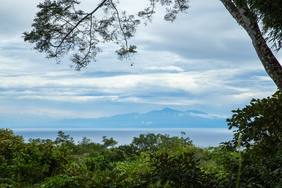 12 bed Single Family Homes For Sale in Montezuma, Puntarenas - thumb 2