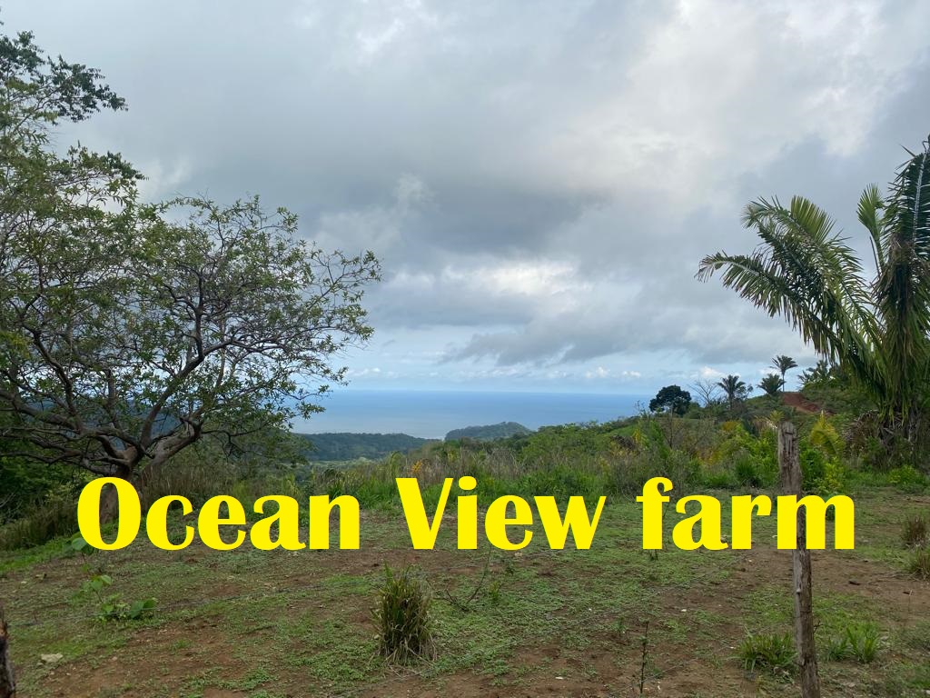 0 bed Land For Sale in Samara, Guanacaste - thumb 1