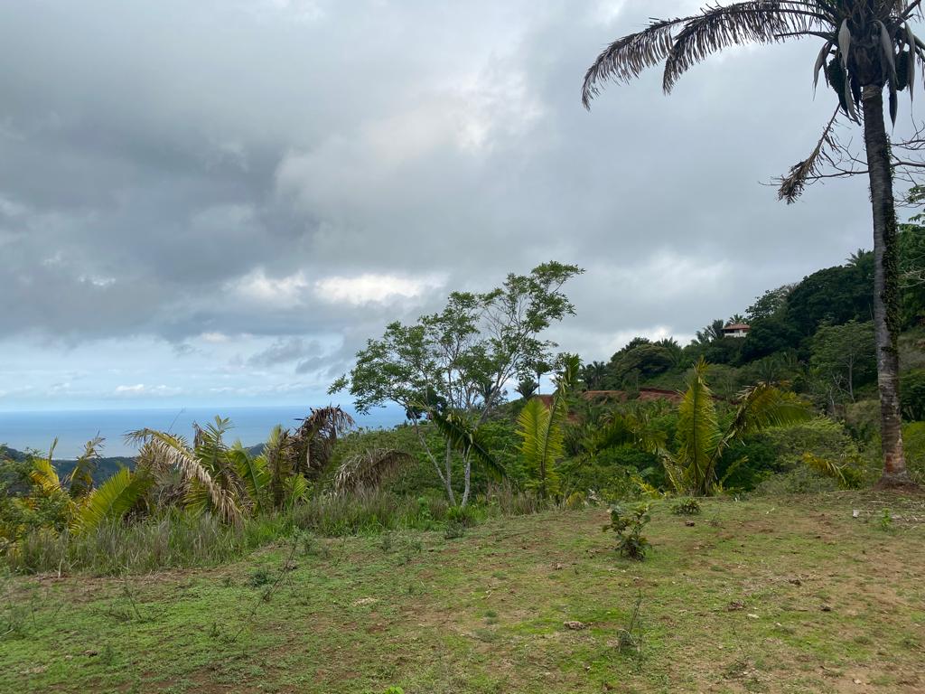 0 bed Land For Sale in Samara, Guanacaste - thumb 5
