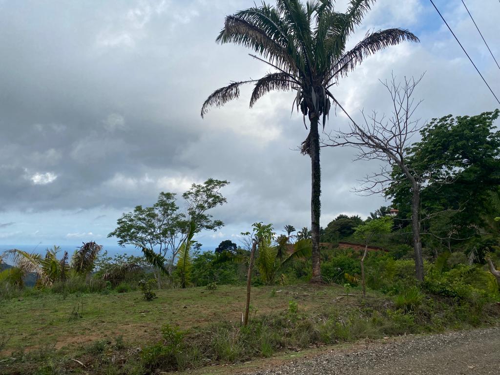 0 bed Land For Sale in Samara, Guanacaste - thumb 7