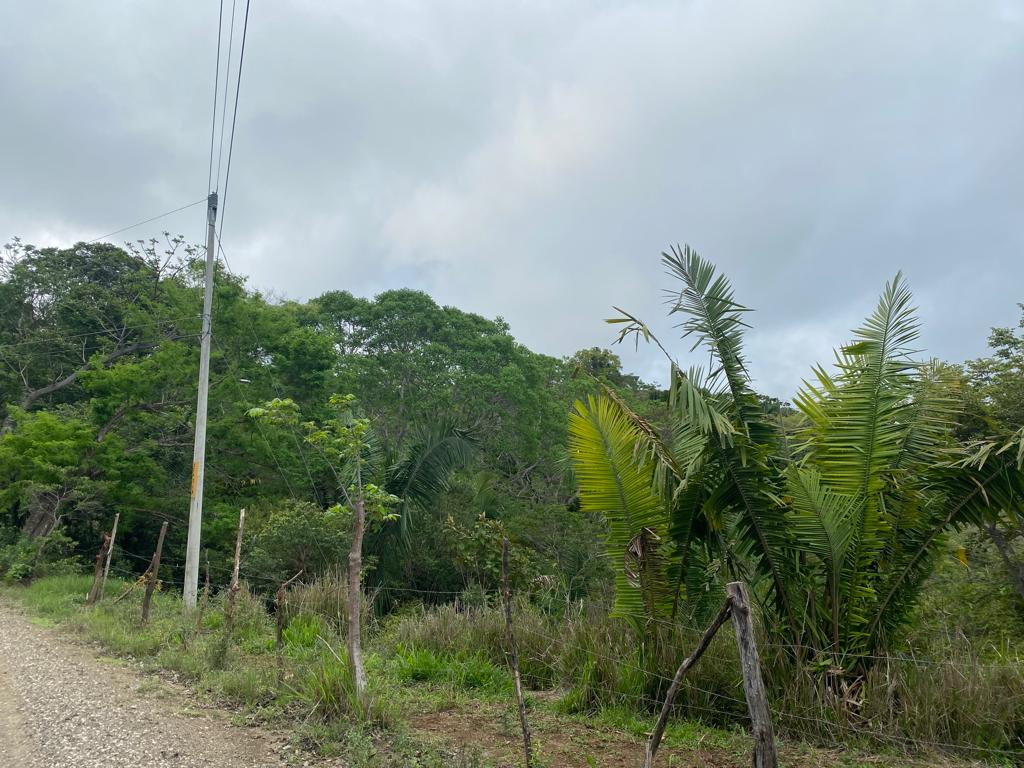 0 bed Land For Sale in Samara, Guanacaste - thumb 3